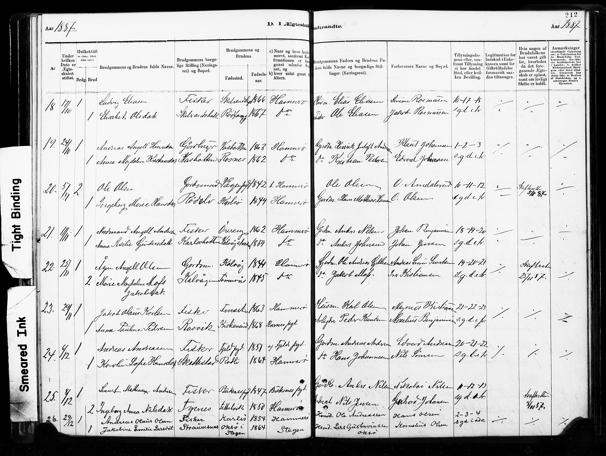Ministerialprotokoller, klokkerbøker og fødselsregistre - Nordland, AV/SAT-A-1459/859/L0846: Ministerialbok nr. 859A06, 1878-1889, s. 212