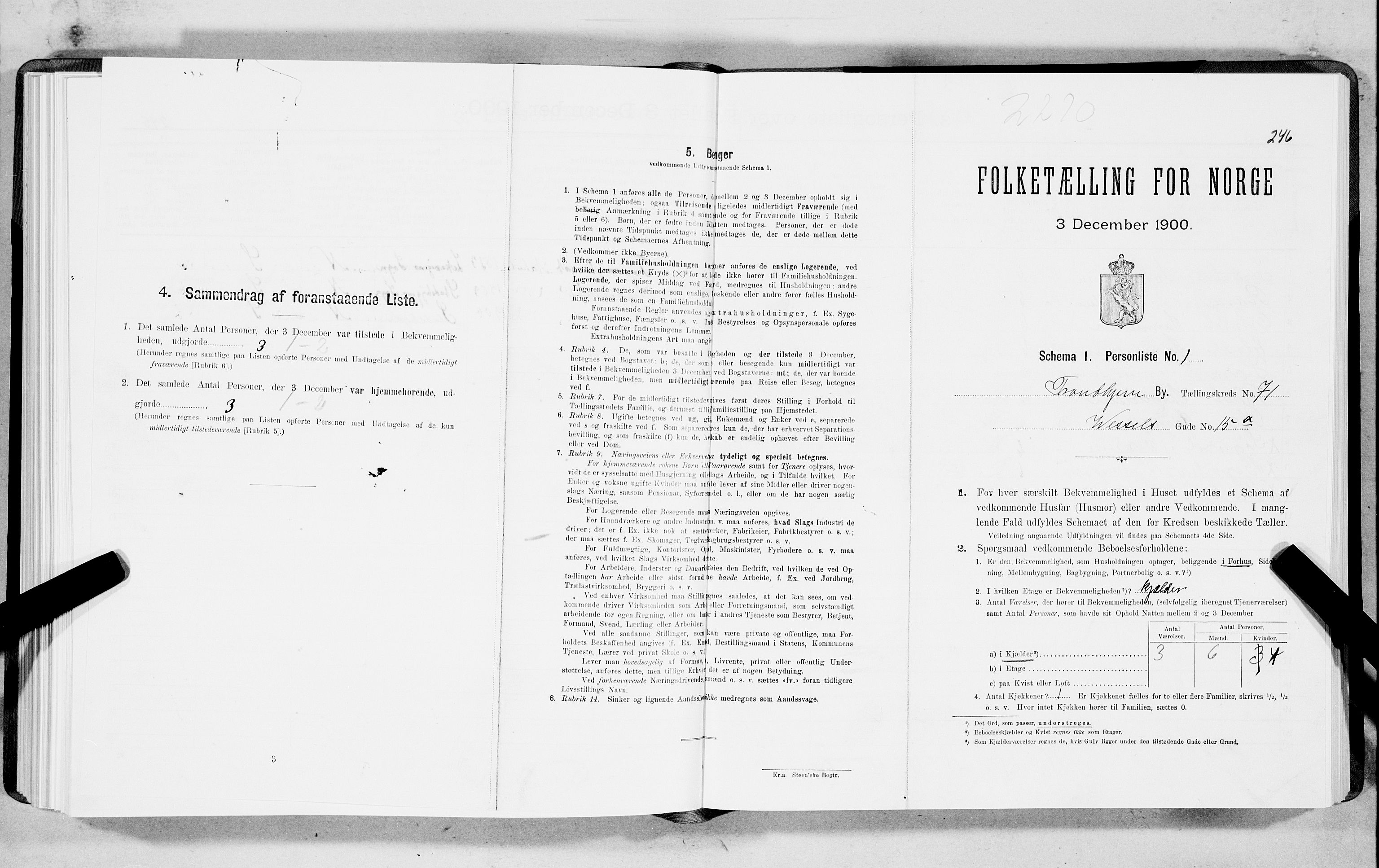 SAT, Folketelling 1900 for 1601 Trondheim kjøpstad, 1900, s. 13460