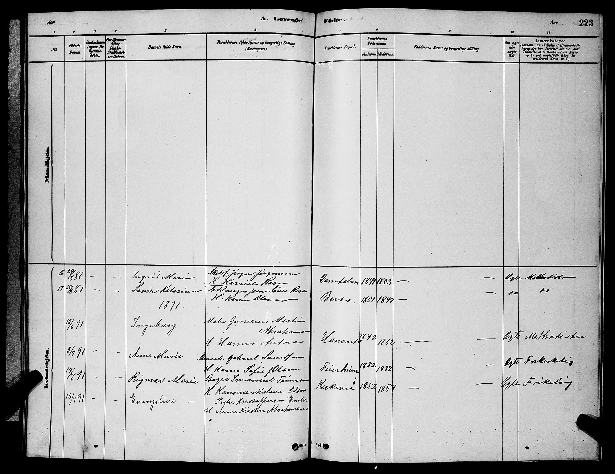 Barbu sokneprestkontor, SAK/1111-0003/F/Fb/L0001: Klokkerbok nr. B 1, 1878-1890, s. 223