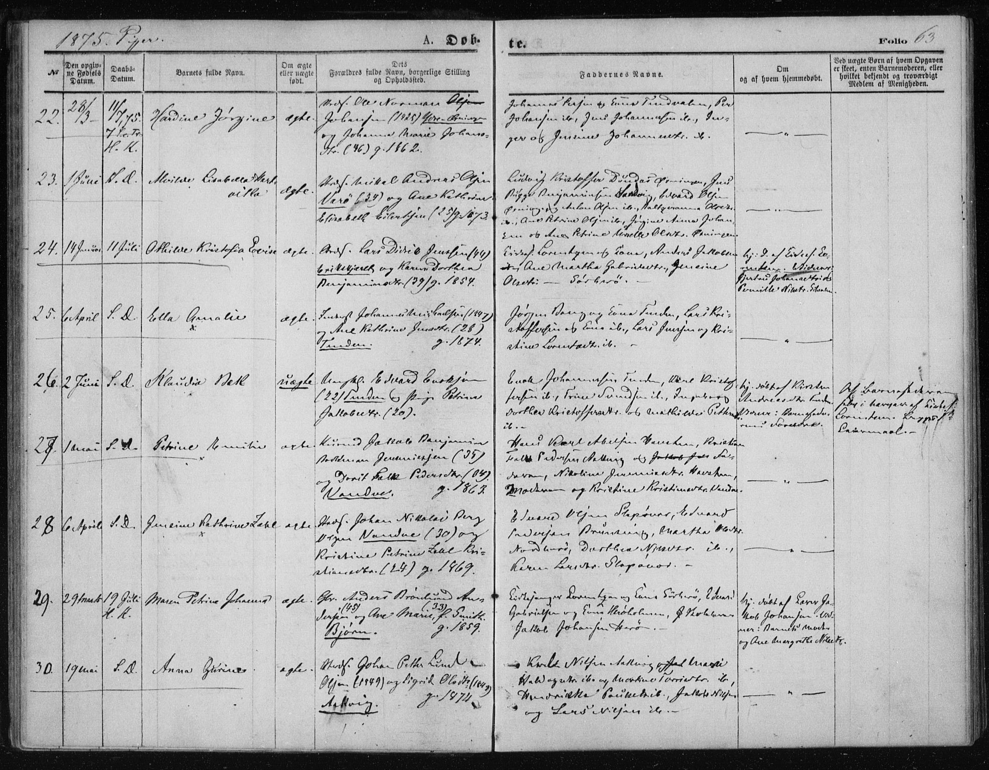 Ministerialprotokoller, klokkerbøker og fødselsregistre - Nordland, AV/SAT-A-1459/834/L0506: Ministerialbok nr. 834A04, 1872-1878, s. 63