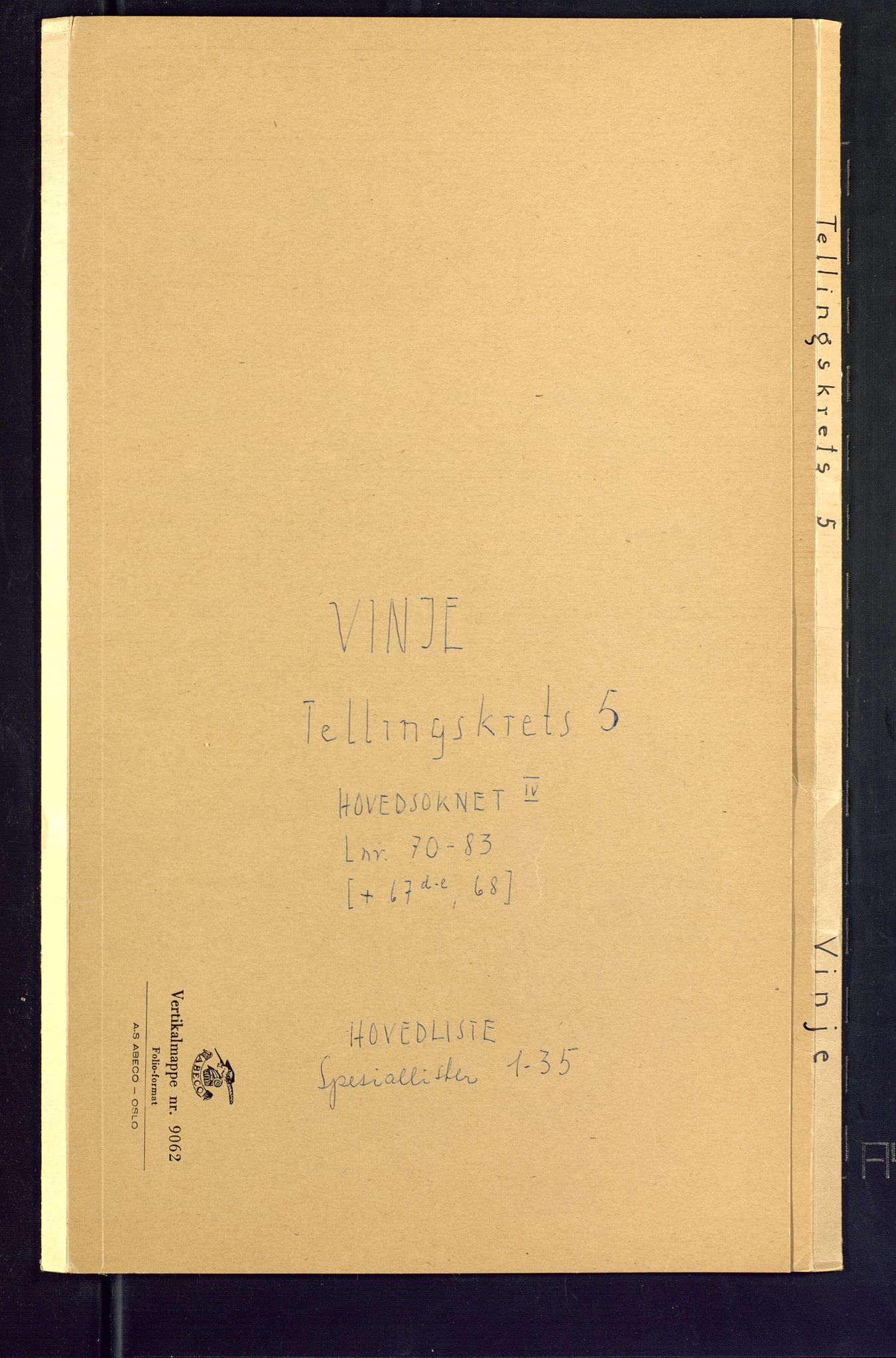 SAKO, Folketelling 1875 for 0834P Vinje prestegjeld, 1875, s. 17