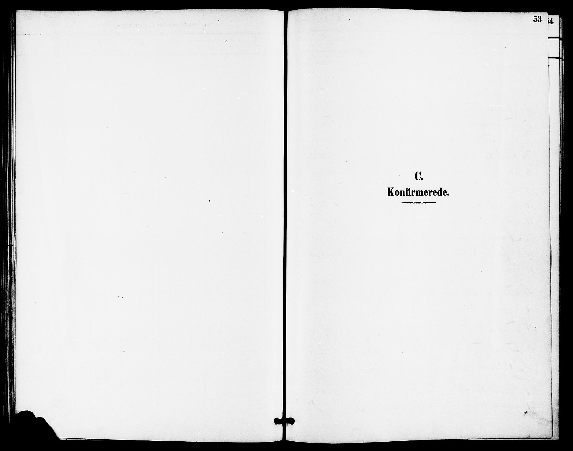 Høgsfjord sokneprestkontor, SAST/A-101624/H/Ha/Haa/L0005: Ministerialbok nr. A 5, 1885-1897, s. 53