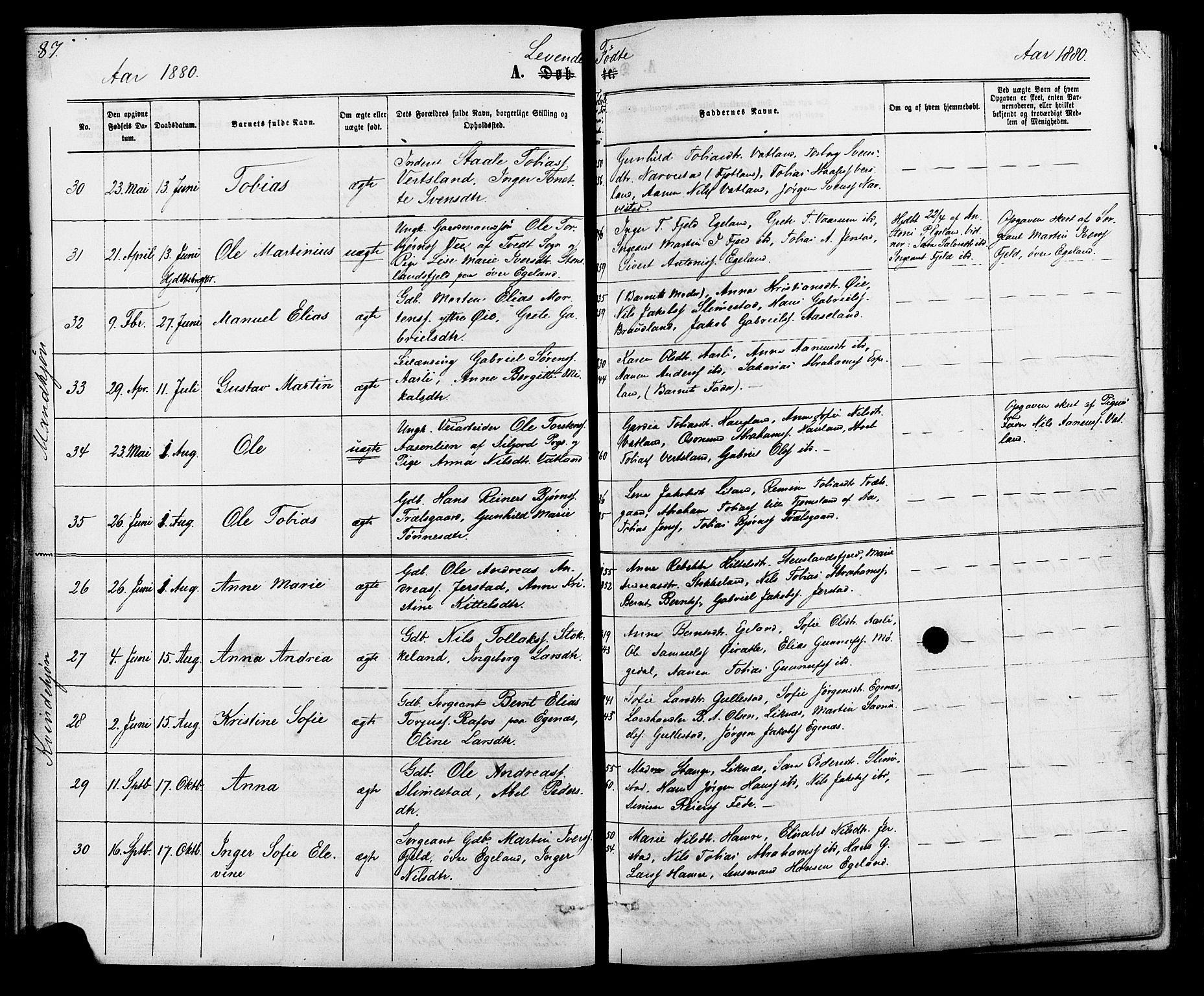 Kvinesdal sokneprestkontor, AV/SAK-1111-0026/F/Fa/Fab/L0007: Ministerialbok nr. A 7, 1870-1885, s. 87