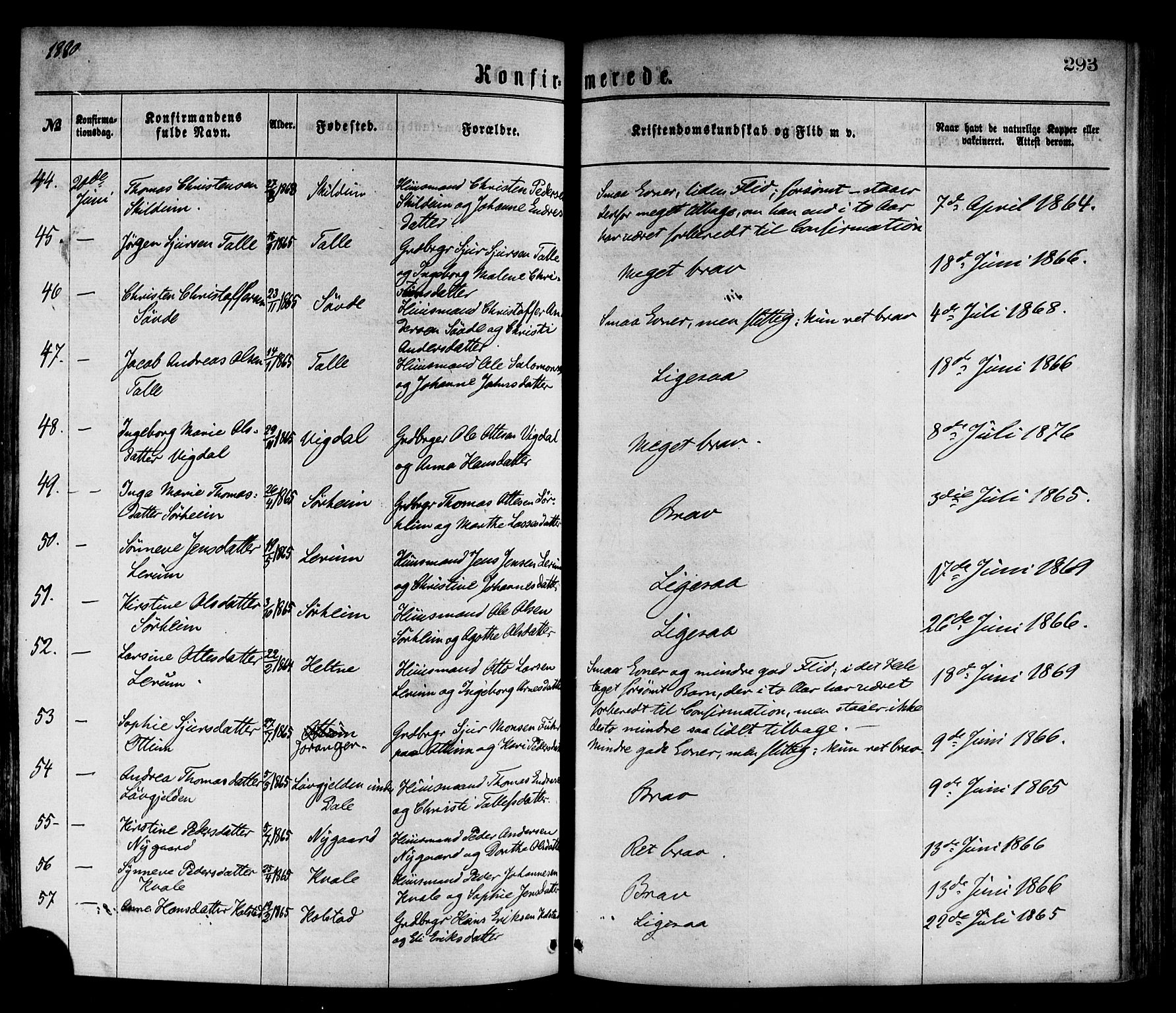 Luster sokneprestembete, AV/SAB-A-81101/H/Haa/Haaa/L0010: Ministerialbok nr. A 10, 1871-1886, s. 293
