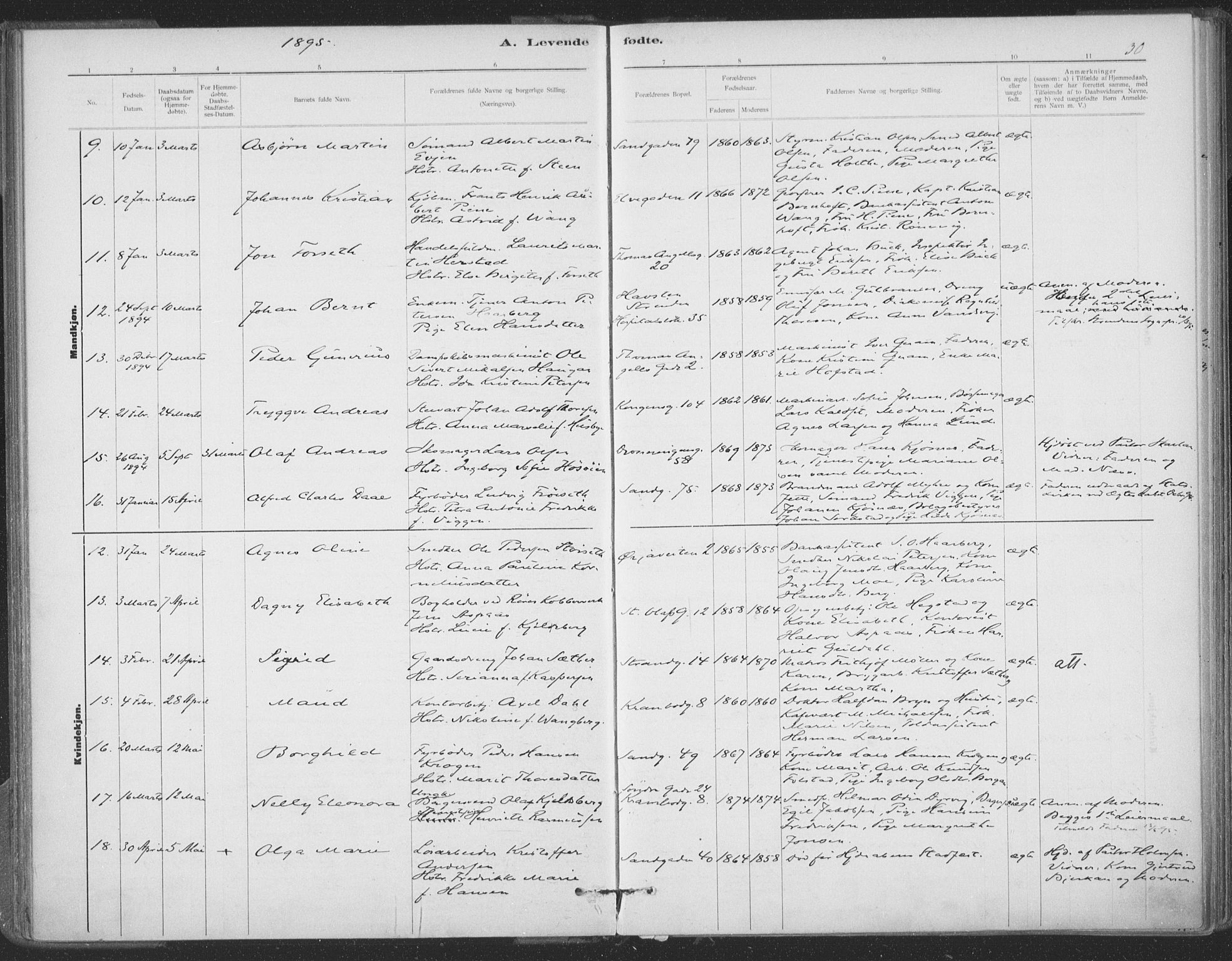Ministerialprotokoller, klokkerbøker og fødselsregistre - Sør-Trøndelag, SAT/A-1456/602/L0122: Ministerialbok nr. 602A20, 1892-1908, s. 30