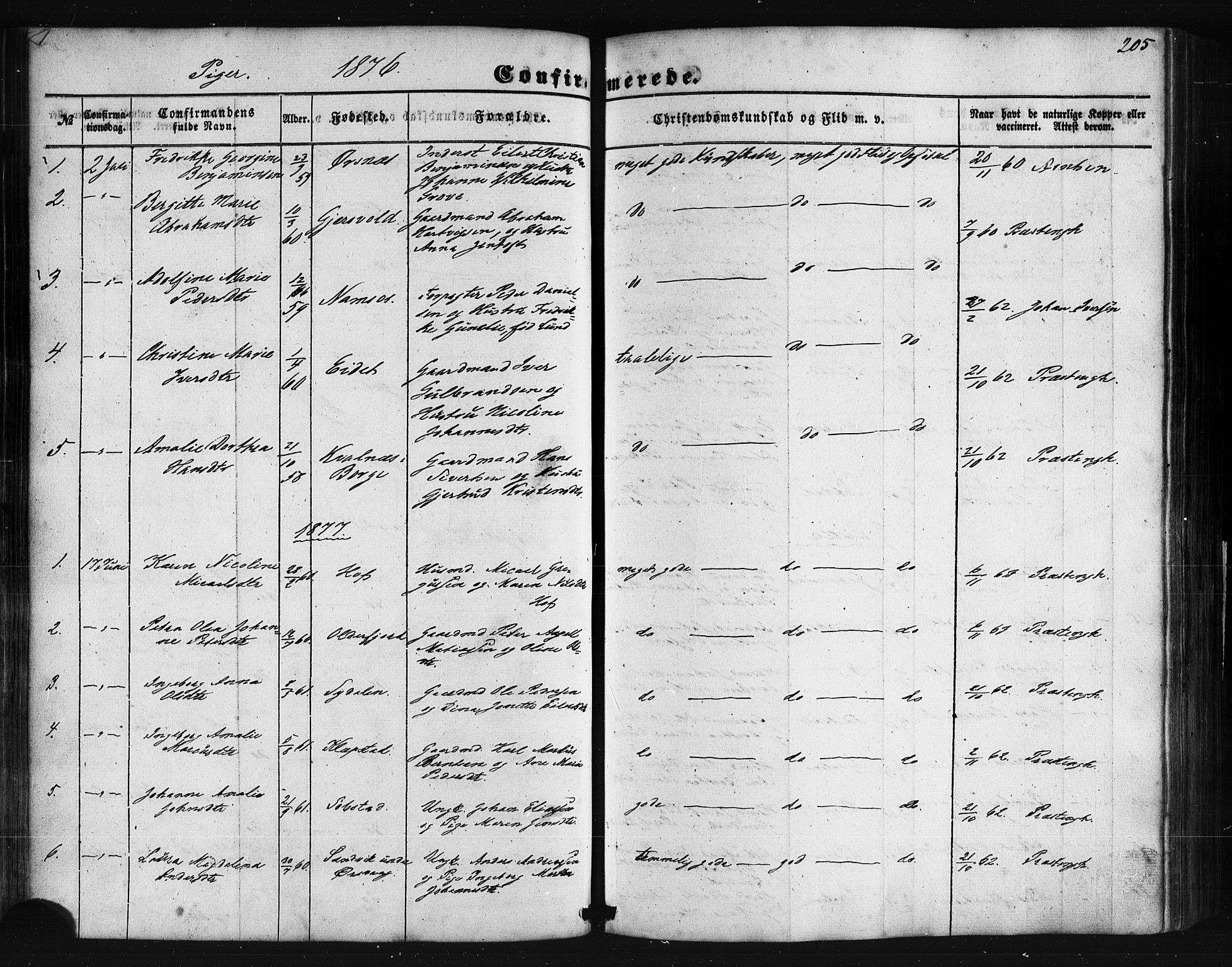Ministerialprotokoller, klokkerbøker og fødselsregistre - Nordland, AV/SAT-A-1459/876/L1095: Ministerialbok nr. 876A01, 1863-1885, s. 205