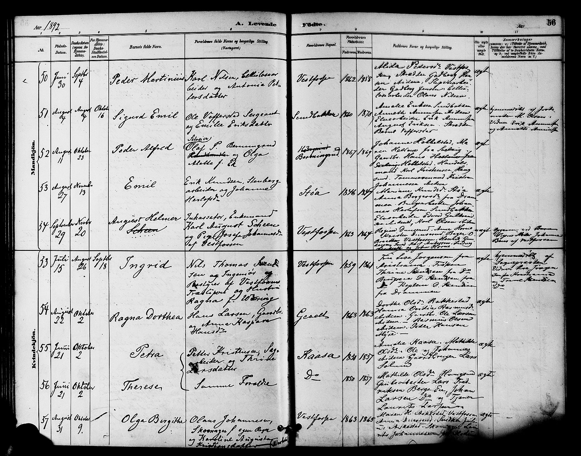 Eiker kirkebøker, AV/SAKO-A-4/F/Fb/L0002: Ministerialbok nr. II 2, 1889-1896, s. 56