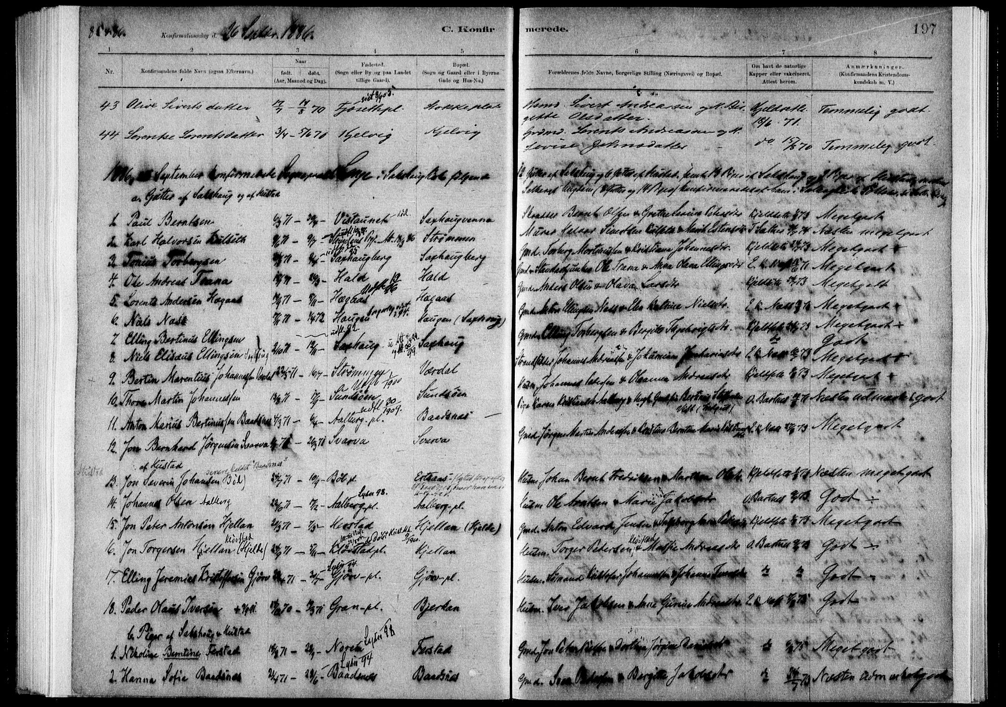 Ministerialprotokoller, klokkerbøker og fødselsregistre - Nord-Trøndelag, SAT/A-1458/730/L0285: Ministerialbok nr. 730A10, 1879-1914, s. 197