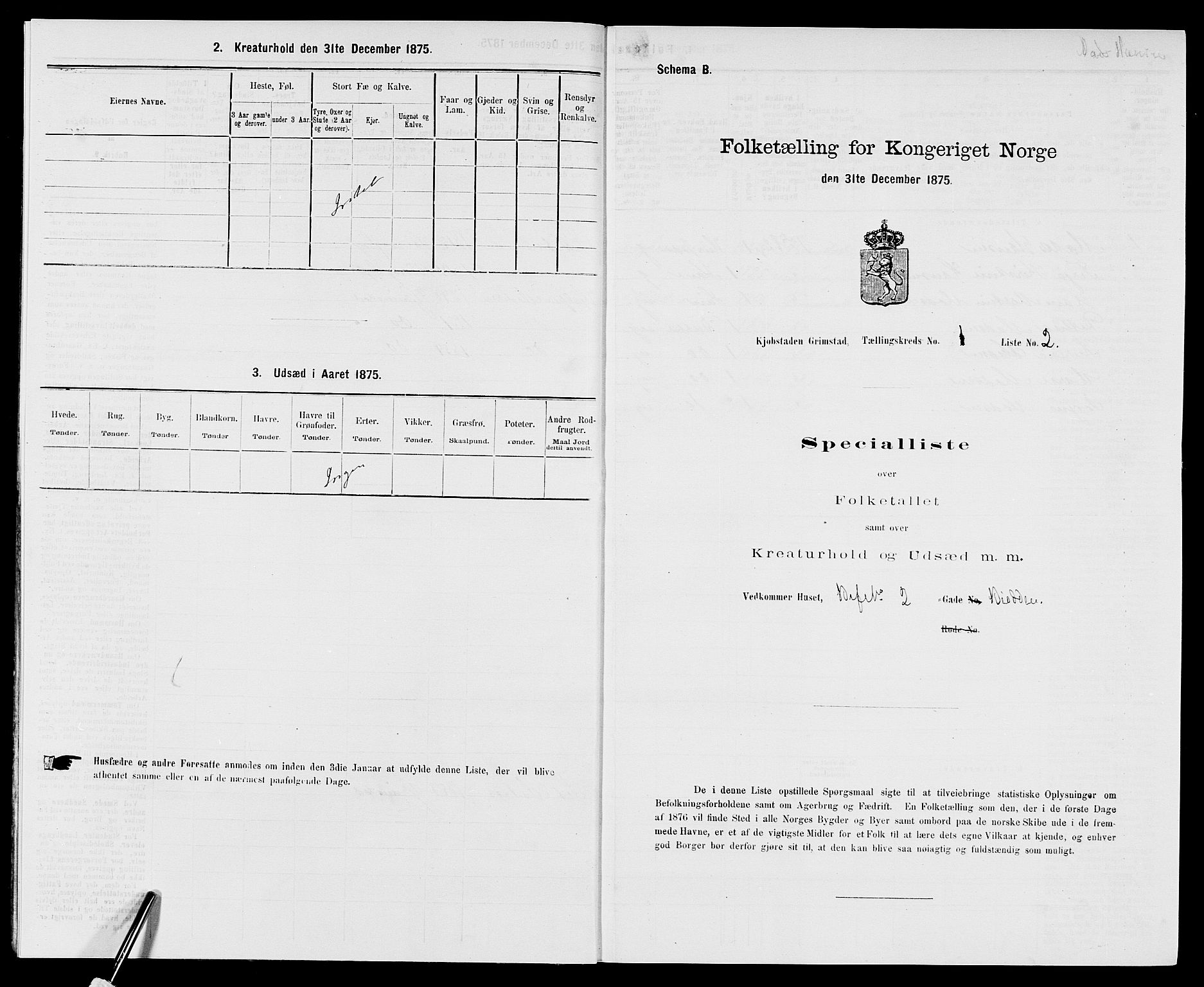 SAK, Folketelling 1875 for 0904B Fjære prestegjeld, Grimstad kjøpstad, 1875, s. 12