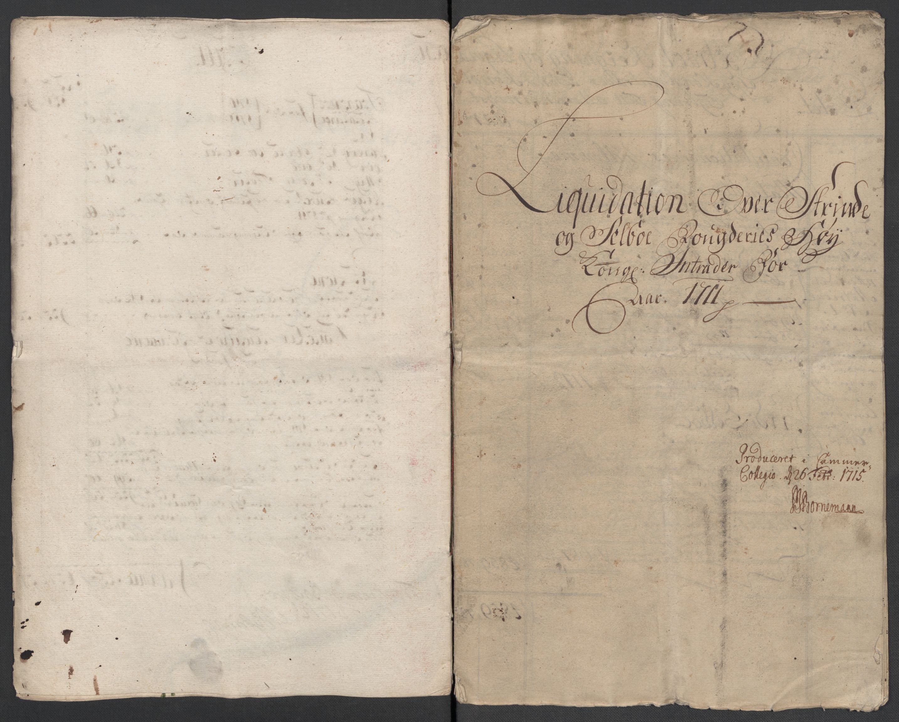 Rentekammeret inntil 1814, Reviderte regnskaper, Fogderegnskap, AV/RA-EA-4092/R61/L4112: Fogderegnskap Strinda og Selbu, 1711, s. 9