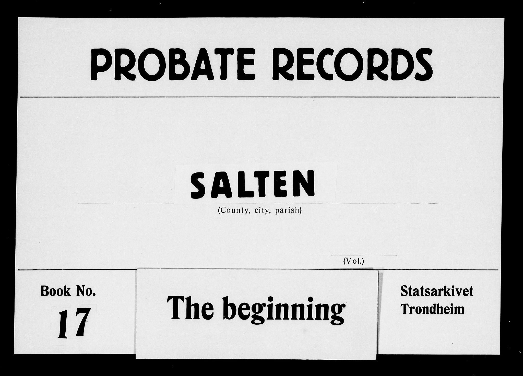 Salten sorenskriveri, SAT/A-4578/1/3/3A/L0037: Skifteprotokoll 17a, 1806-1807