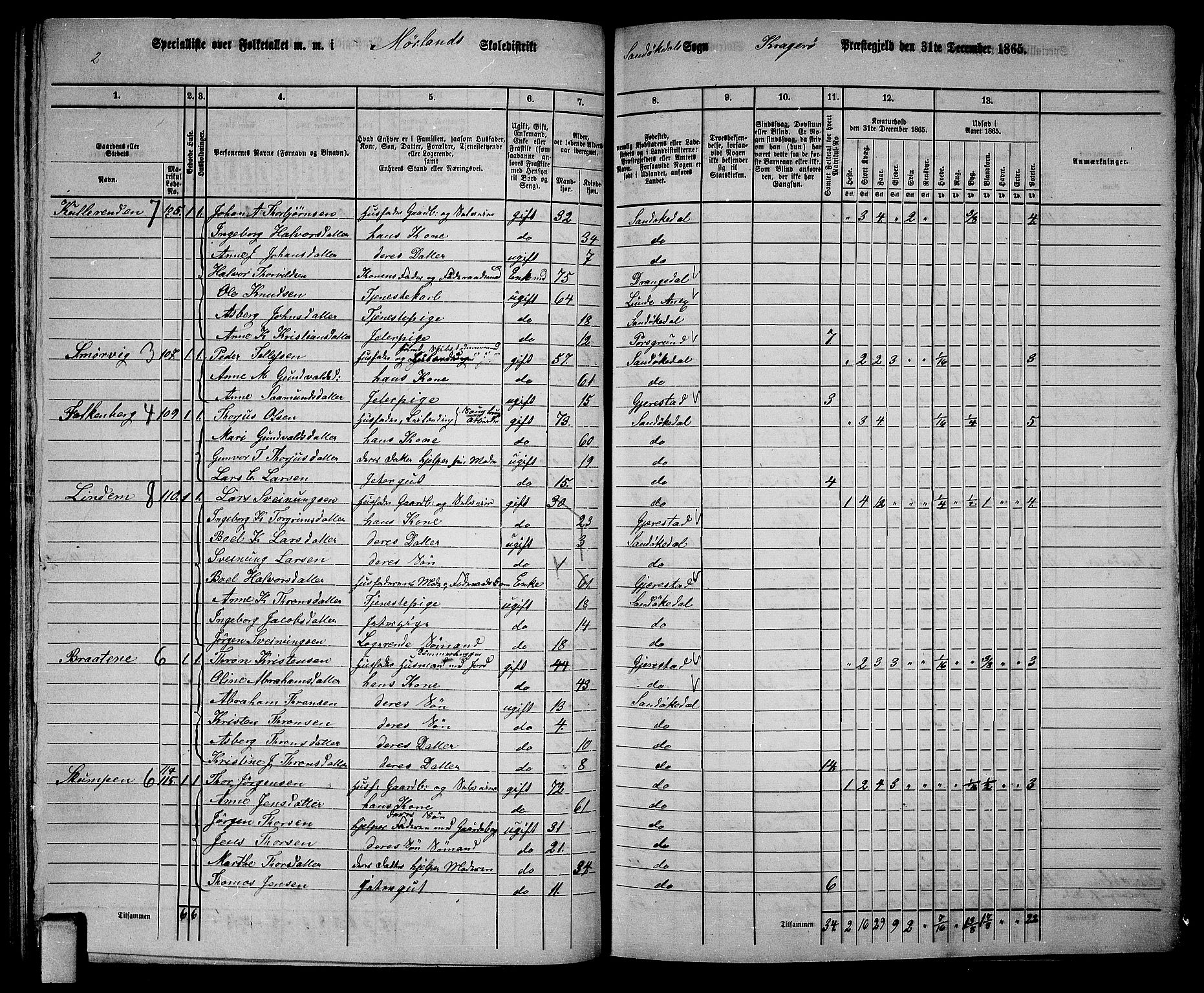 RA, Folketelling 1865 for 0816L Kragerø prestegjeld, Sannidal sokn og Skåtøy sokn, 1865, s. 66