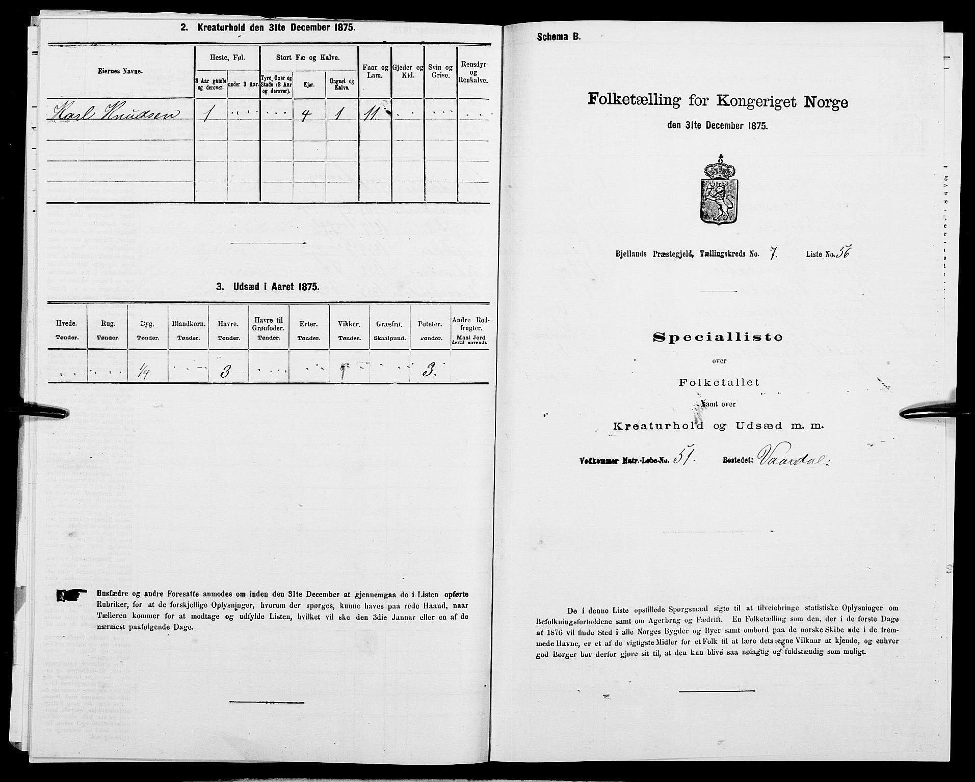 SAK, Folketelling 1875 for 1024P Bjelland prestegjeld, 1875, s. 504