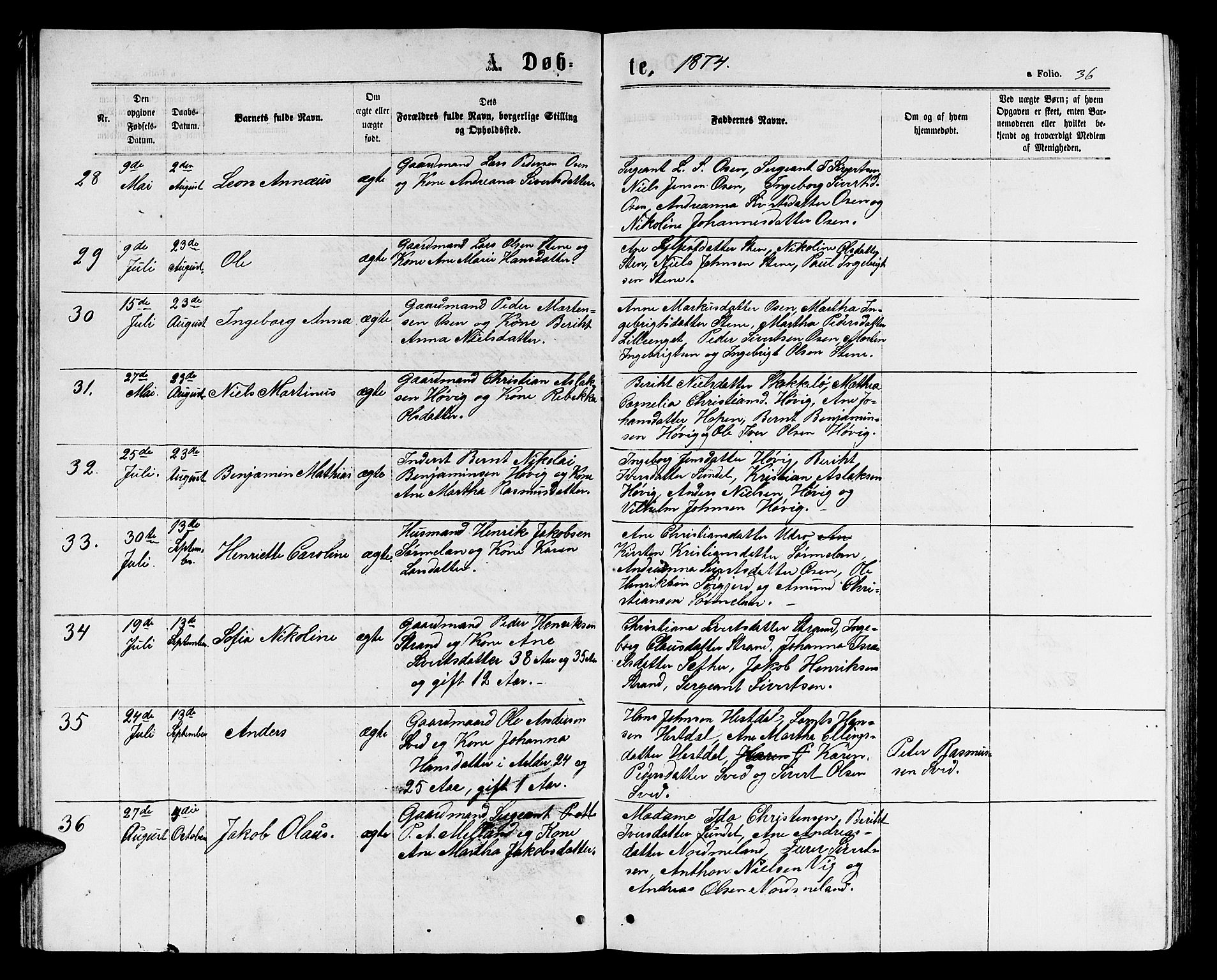 Ministerialprotokoller, klokkerbøker og fødselsregistre - Sør-Trøndelag, SAT/A-1456/658/L0725: Klokkerbok nr. 658C01, 1867-1882, s. 36