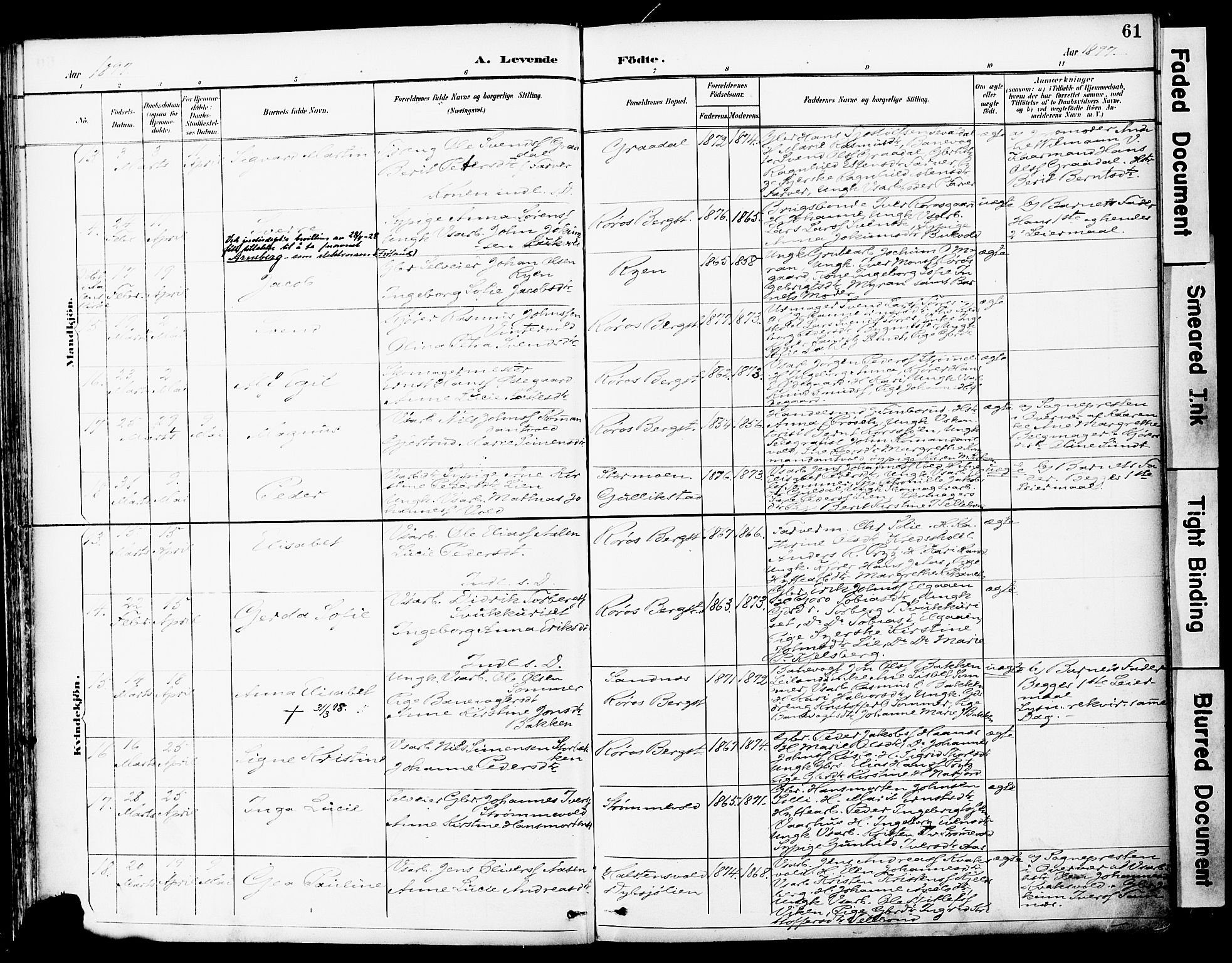 Ministerialprotokoller, klokkerbøker og fødselsregistre - Sør-Trøndelag, SAT/A-1456/681/L0935: Ministerialbok nr. 681A13, 1890-1898, s. 61