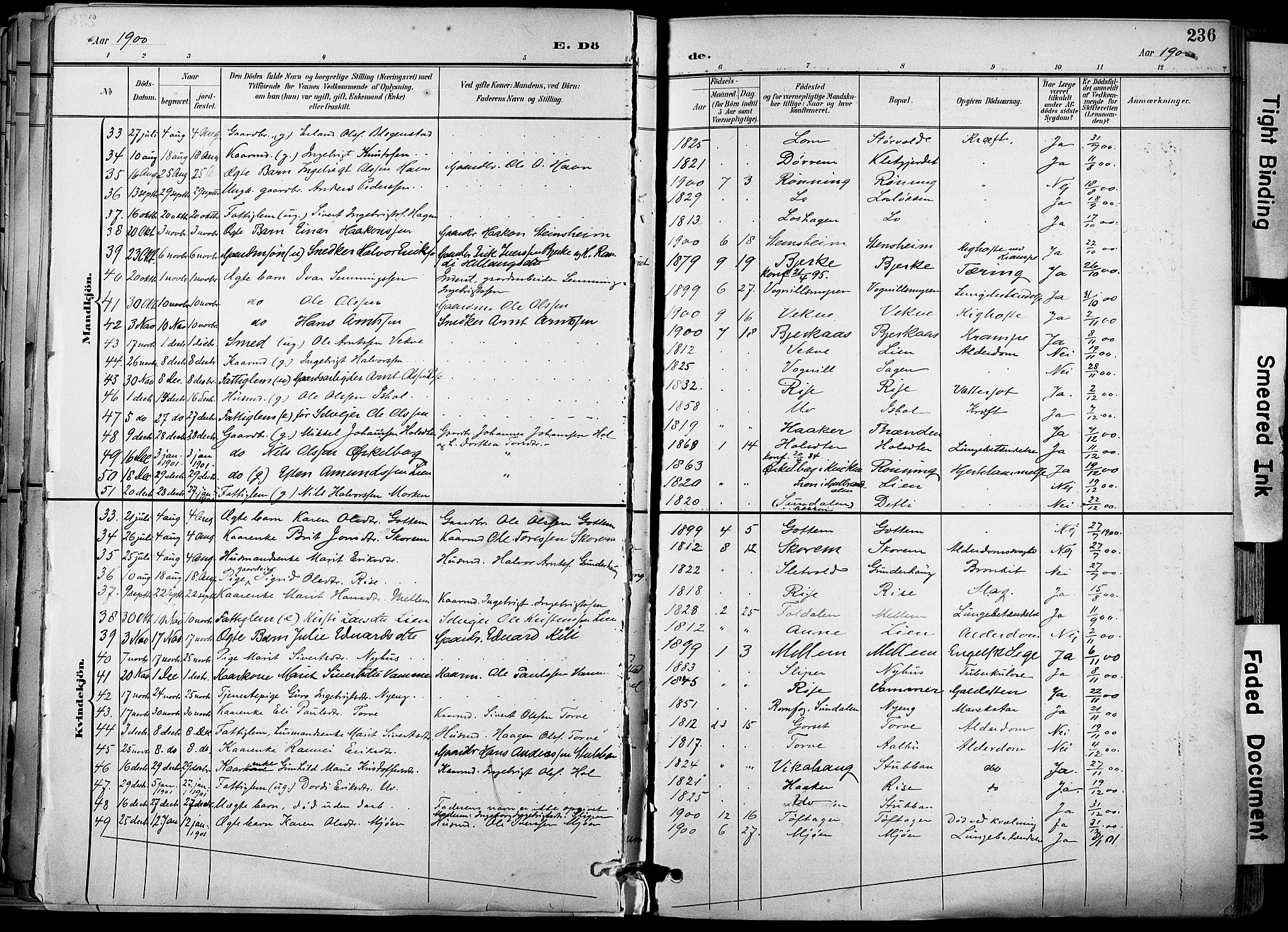 Ministerialprotokoller, klokkerbøker og fødselsregistre - Sør-Trøndelag, SAT/A-1456/678/L0902: Ministerialbok nr. 678A11, 1895-1911, s. 236