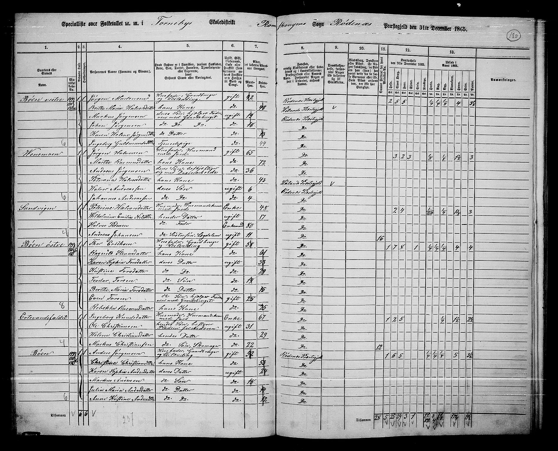 RA, Folketelling 1865 for 0120P Rødenes prestegjeld, 1865, s. 114