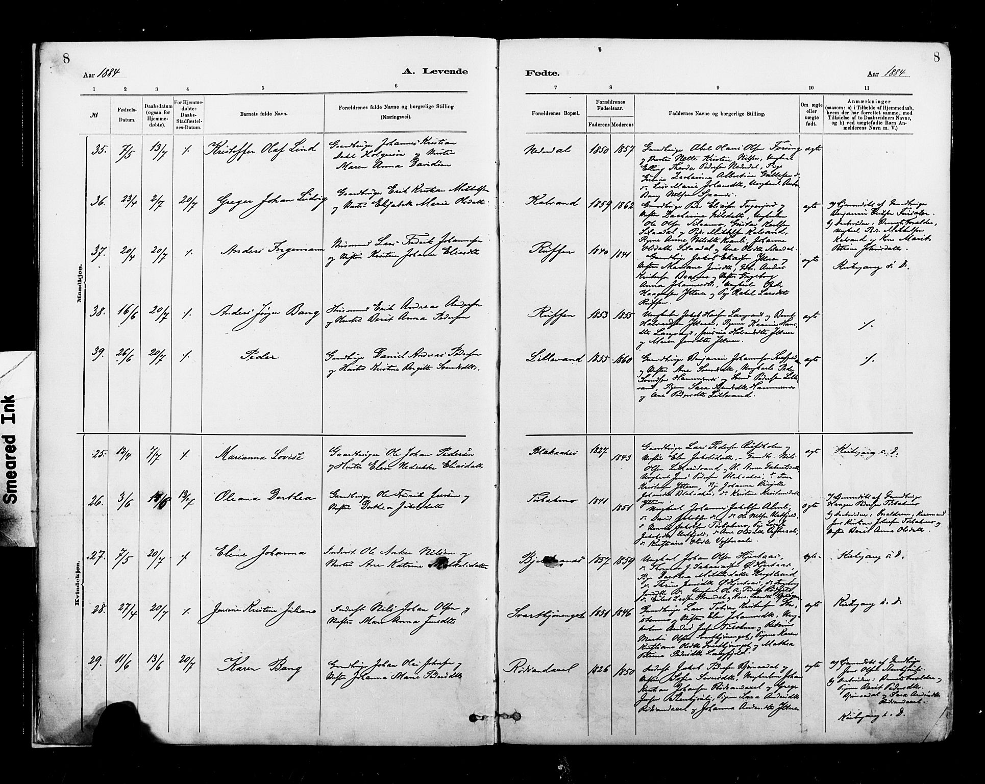 Ministerialprotokoller, klokkerbøker og fødselsregistre - Nordland, AV/SAT-A-1459/827/L0400: Ministerialbok nr. 827A12, 1883-1903, s. 8