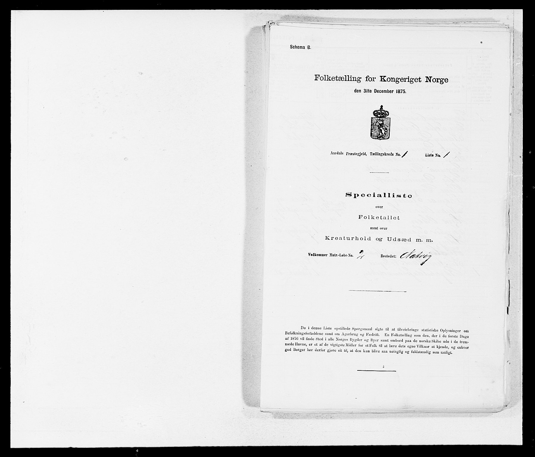 SAB, Folketelling 1875 for 1424P Årdal prestegjeld, 1875, s. 13