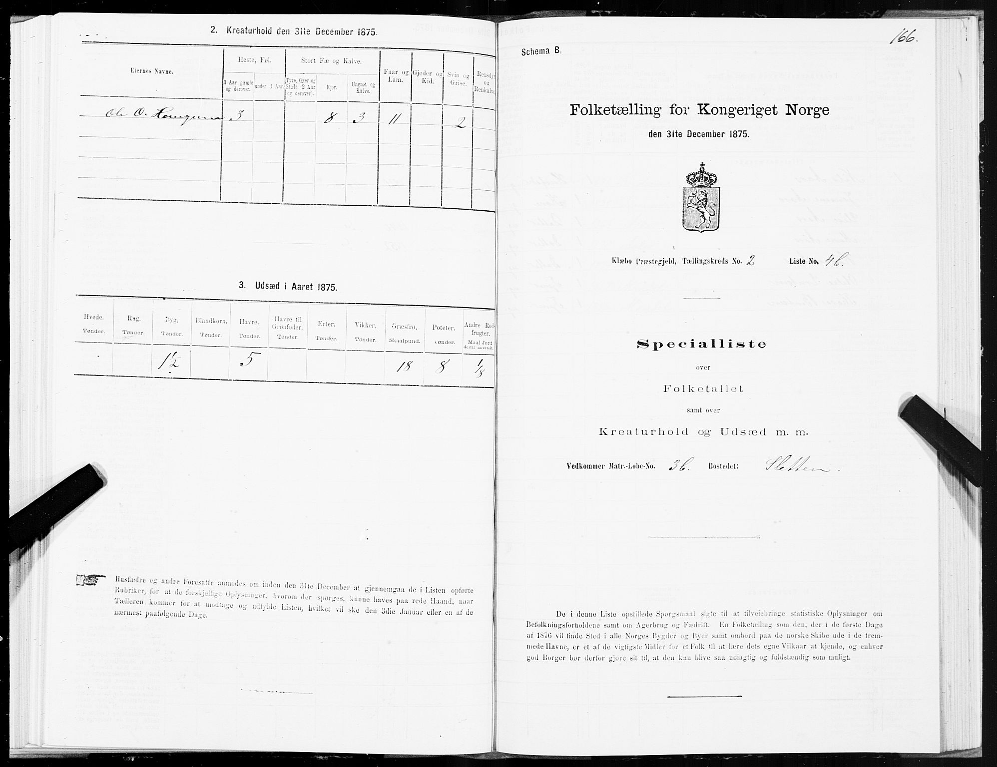 SAT, Folketelling 1875 for 1662P Klæbu prestegjeld, 1875, s. 1166