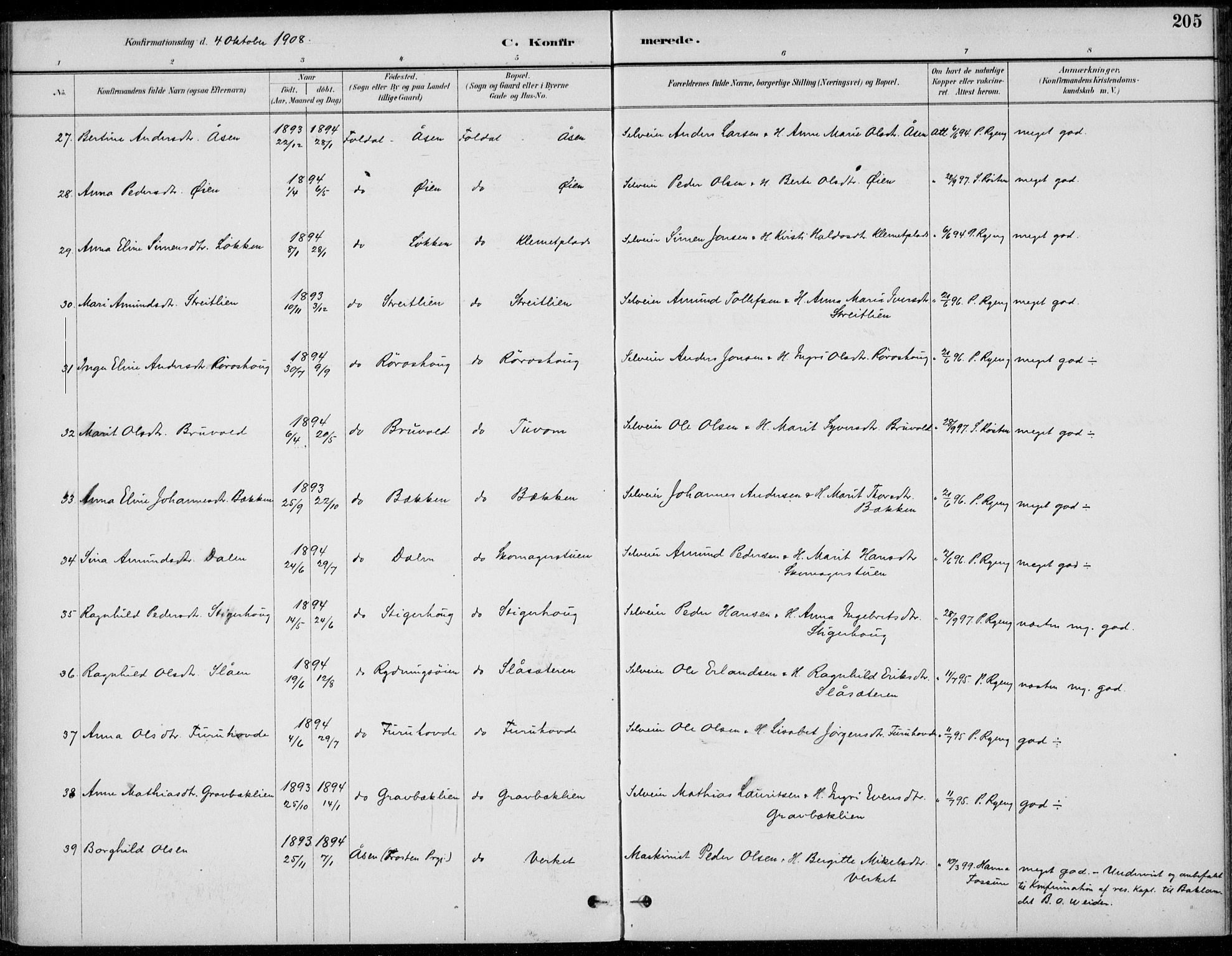 Alvdal prestekontor, SAH/PREST-060/H/Ha/Haa/L0003: Ministerialbok nr. 3, 1886-1912, s. 205