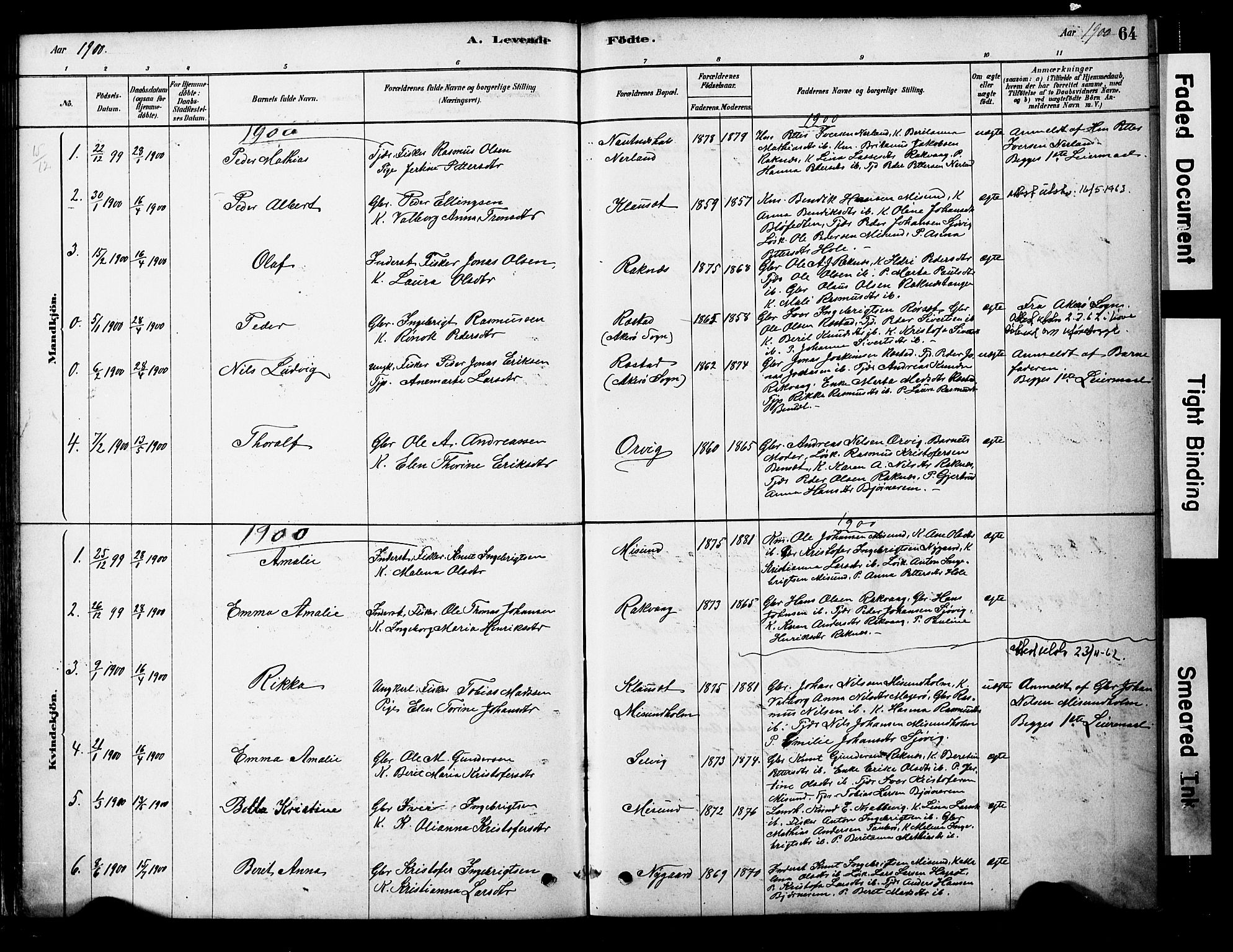Ministerialprotokoller, klokkerbøker og fødselsregistre - Møre og Romsdal, AV/SAT-A-1454/563/L0736: Ministerialbok nr. 563A01, 1878-1903, s. 64