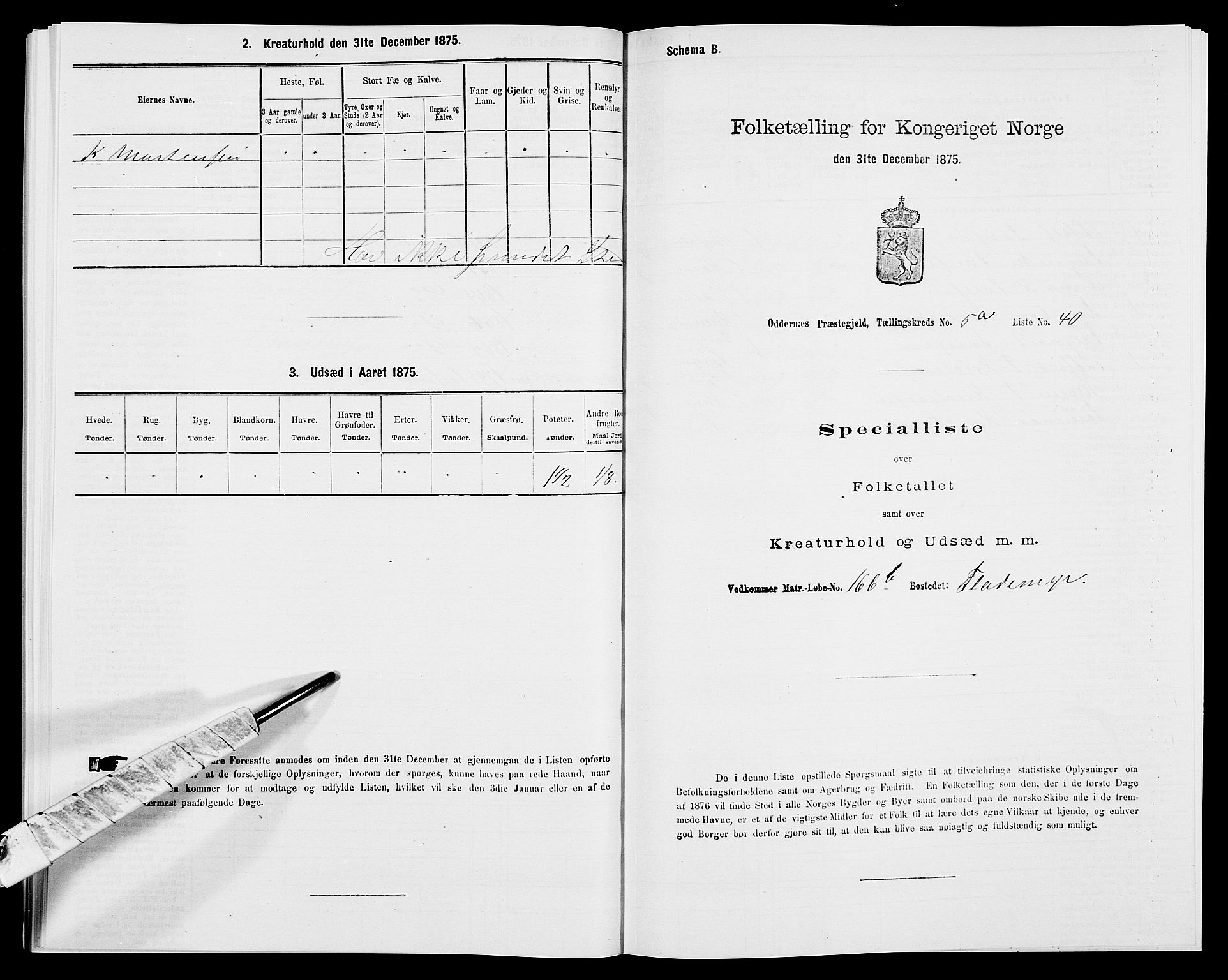 SAK, Folketelling 1875 for 1012P Oddernes prestegjeld, 1875, s. 803