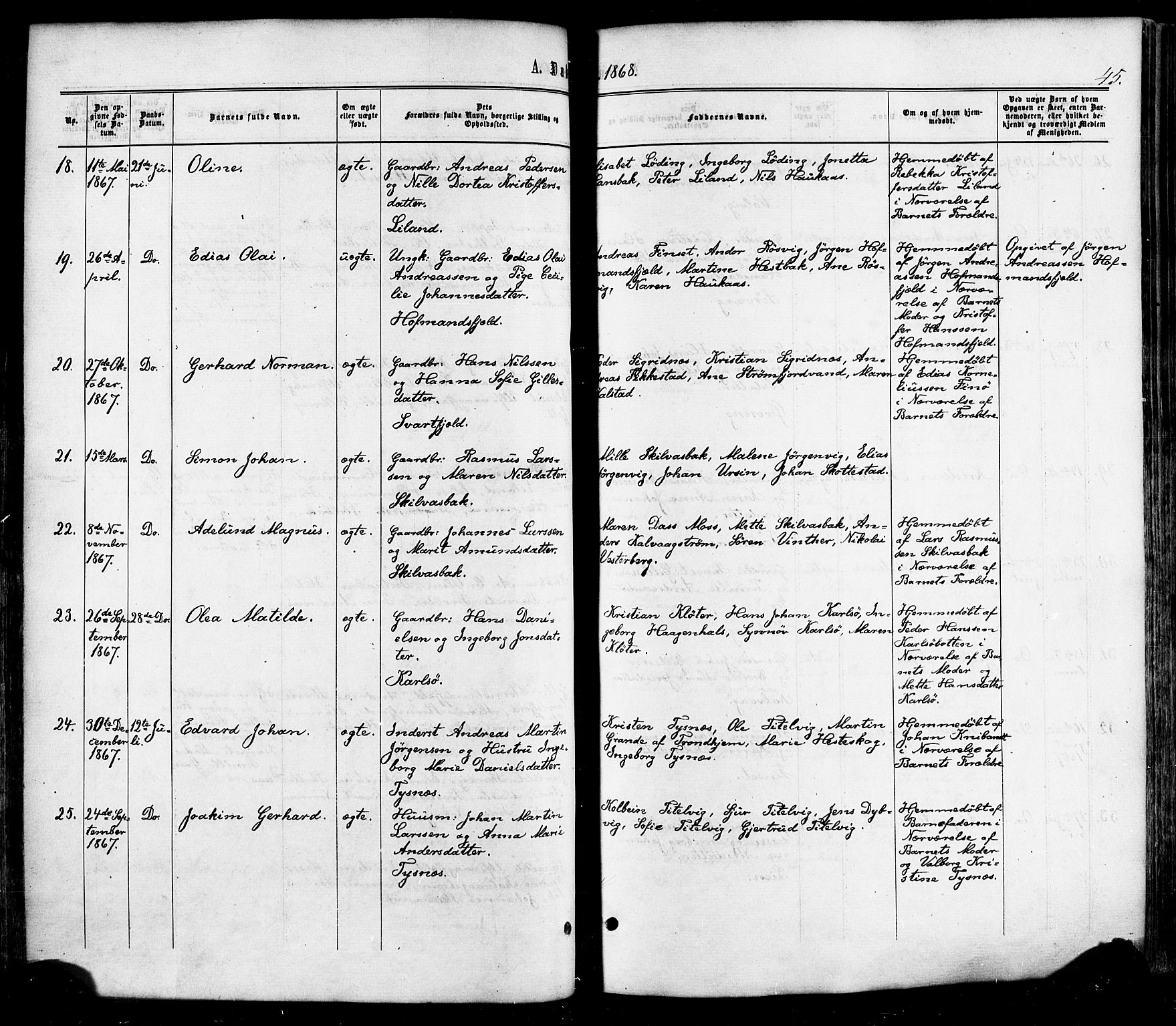 Ministerialprotokoller, klokkerbøker og fødselsregistre - Nordland, SAT/A-1459/859/L0845: Ministerialbok nr. 859A05, 1863-1877, s. 45