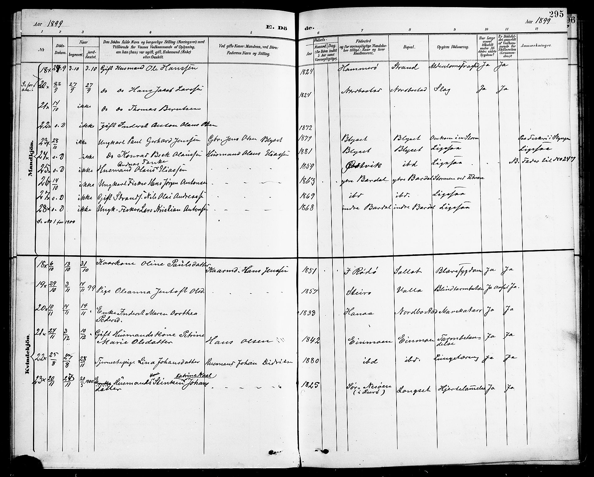 Ministerialprotokoller, klokkerbøker og fødselsregistre - Nordland, AV/SAT-A-1459/838/L0559: Klokkerbok nr. 838C06, 1893-1910, s. 295