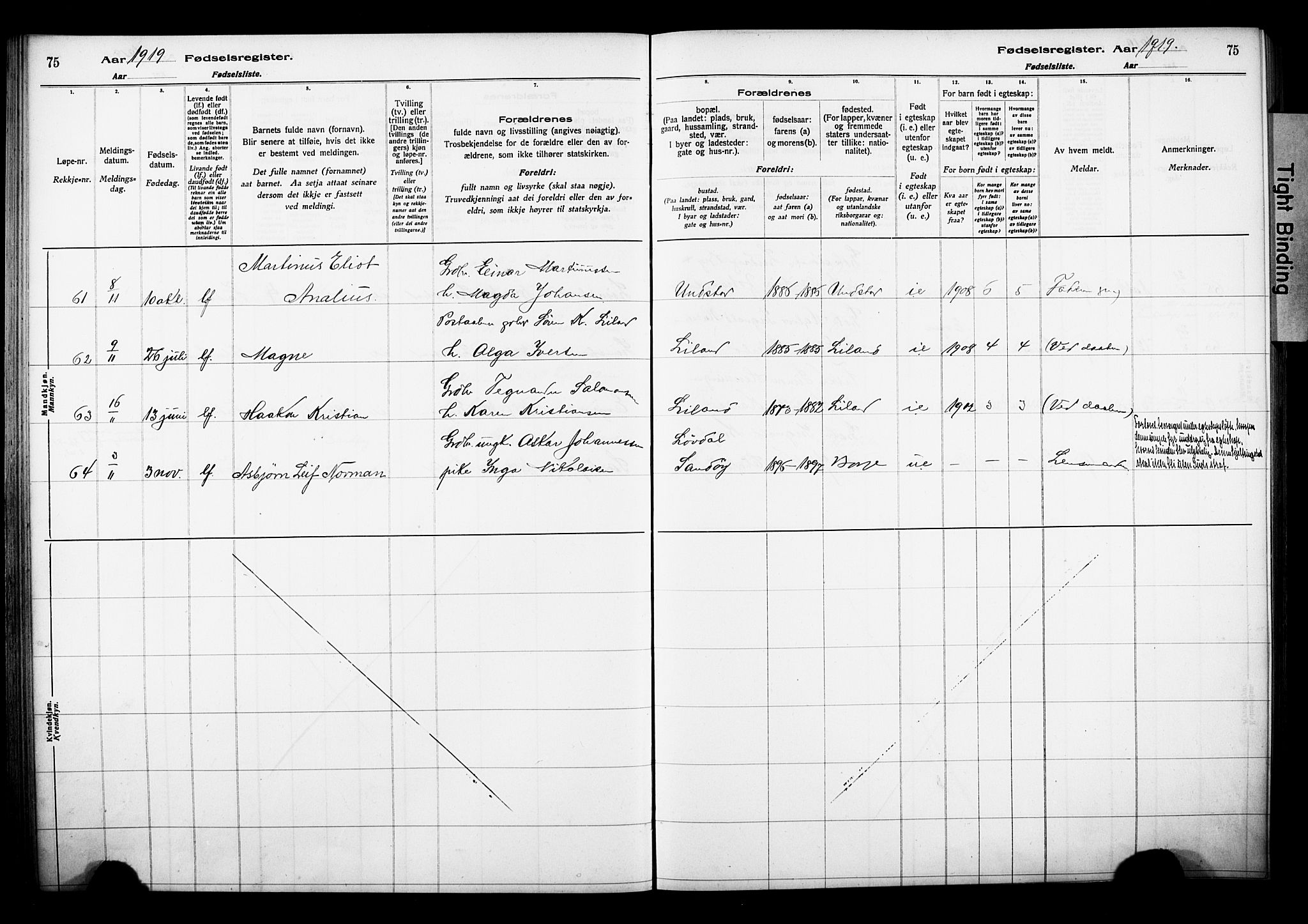 Ministerialprotokoller, klokkerbøker og fødselsregistre - Nordland, AV/SAT-A-1459/880/L1145: Fødselsregister nr. 880.II.4.1, 1916-1929, s. 75