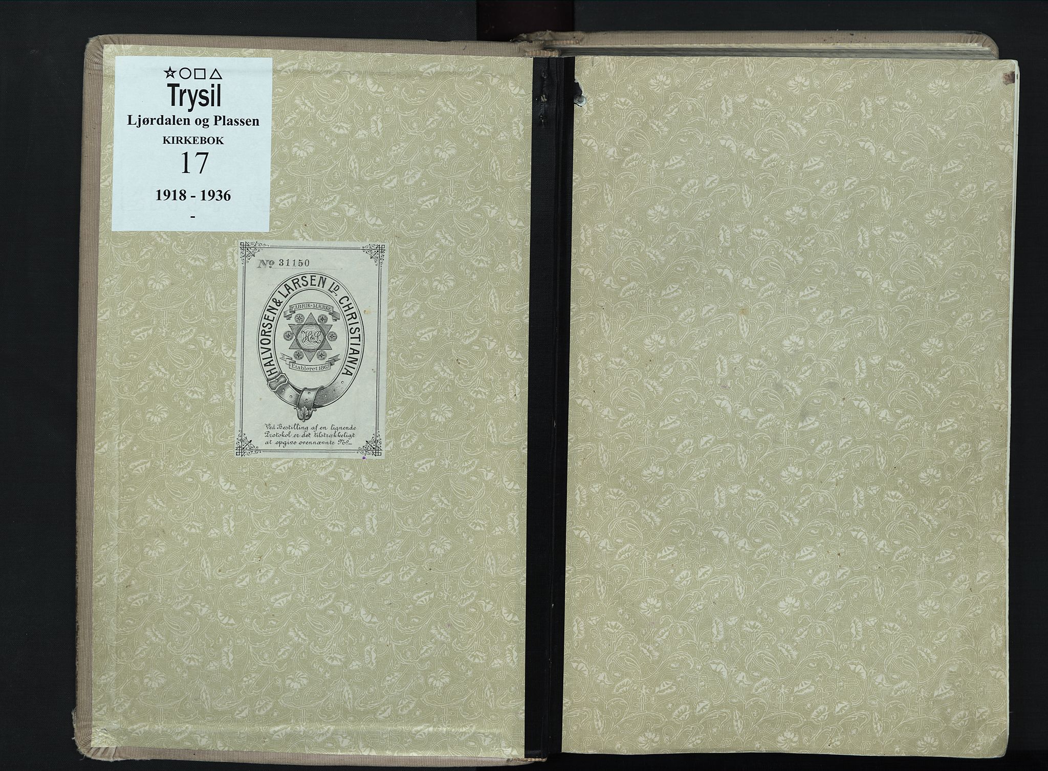 Trysil prestekontor, AV/SAH-PREST-046/H/Ha/Haa/L0017: Ministerialbok nr. 17, 1918-1936
