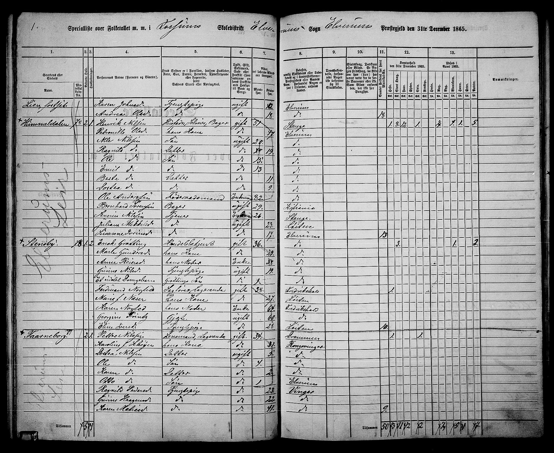 RA, Folketelling 1865 for 0427P Elverum prestegjeld, 1865, s. 100