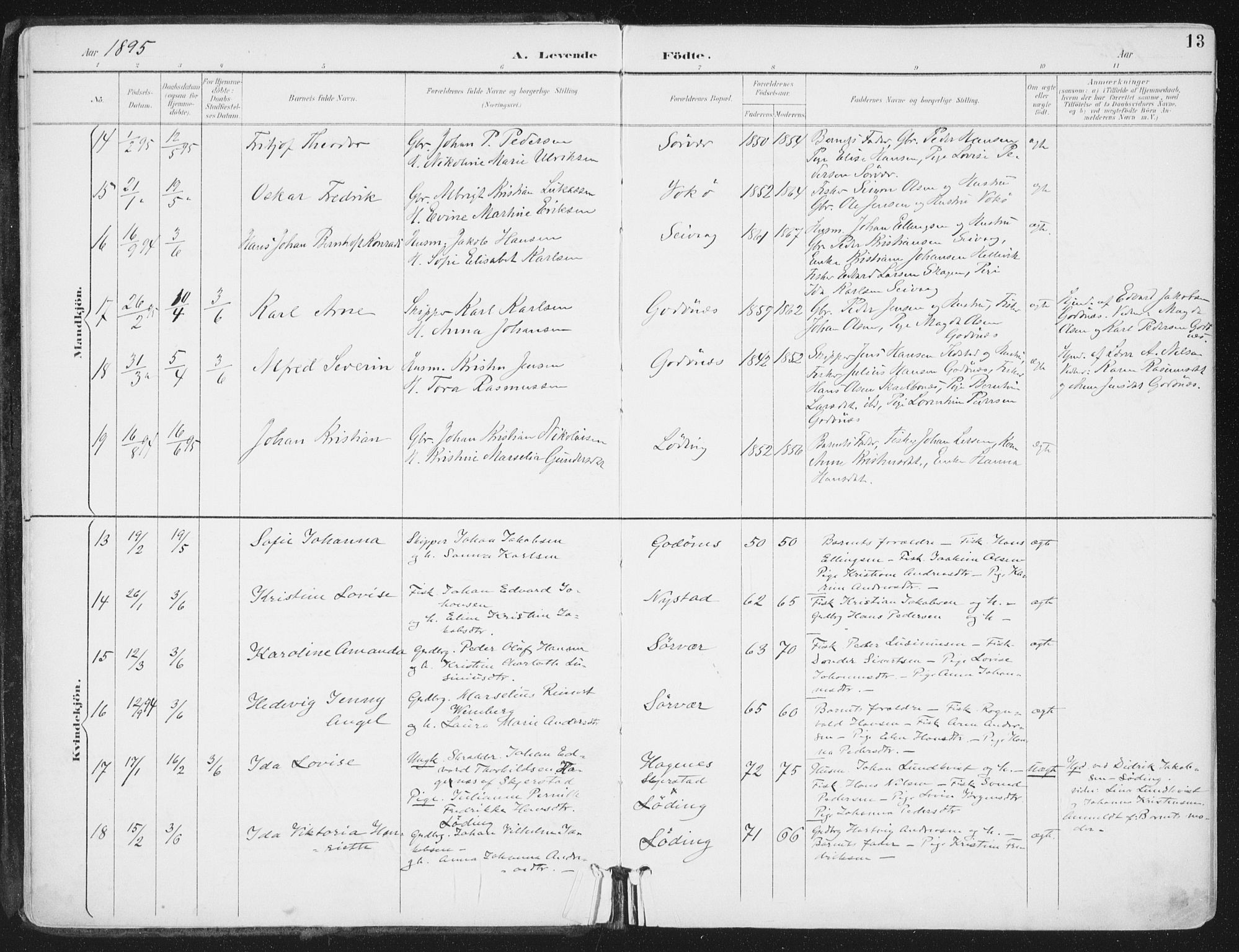 Ministerialprotokoller, klokkerbøker og fødselsregistre - Nordland, AV/SAT-A-1459/802/L0055: Ministerialbok nr. 802A02, 1894-1915, s. 13