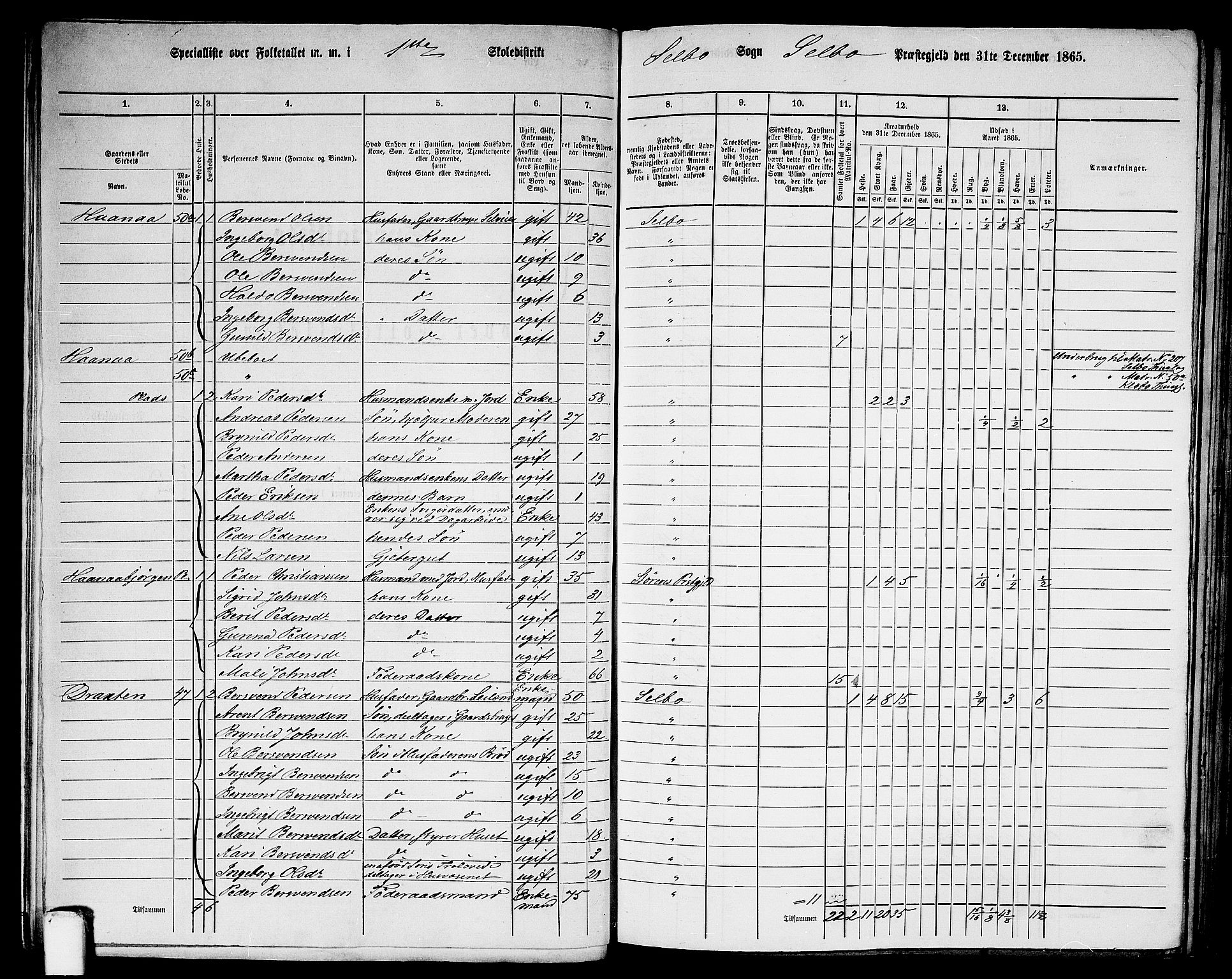 RA, Folketelling 1865 for 1664P Selbu prestegjeld, 1865, s. 12