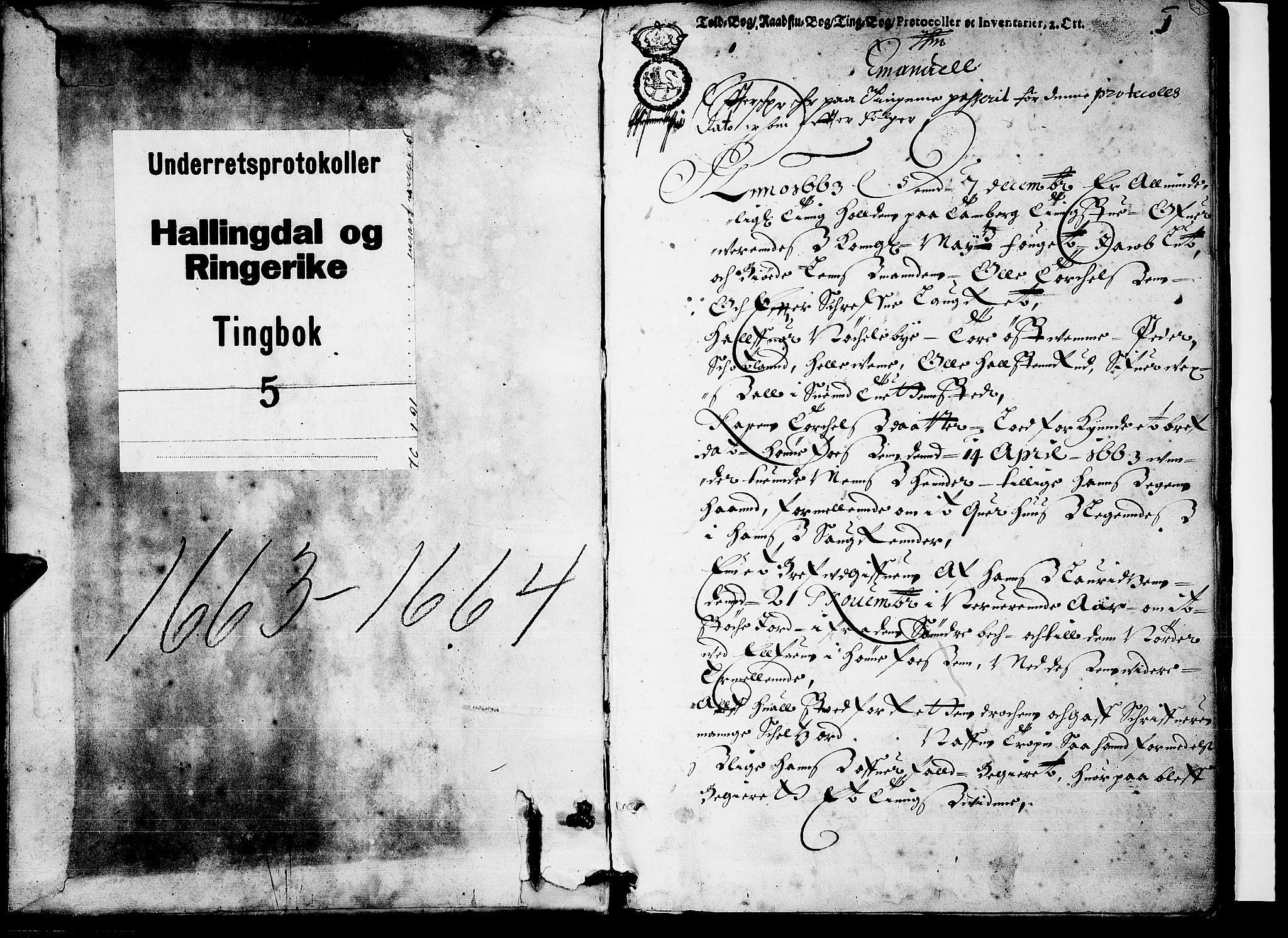 Ringerike og Hallingdal sorenskriveri, SAKO/A-81/F/Fa/Faa/L0005: Tingbok, 1663-1664, s. 0b-1a