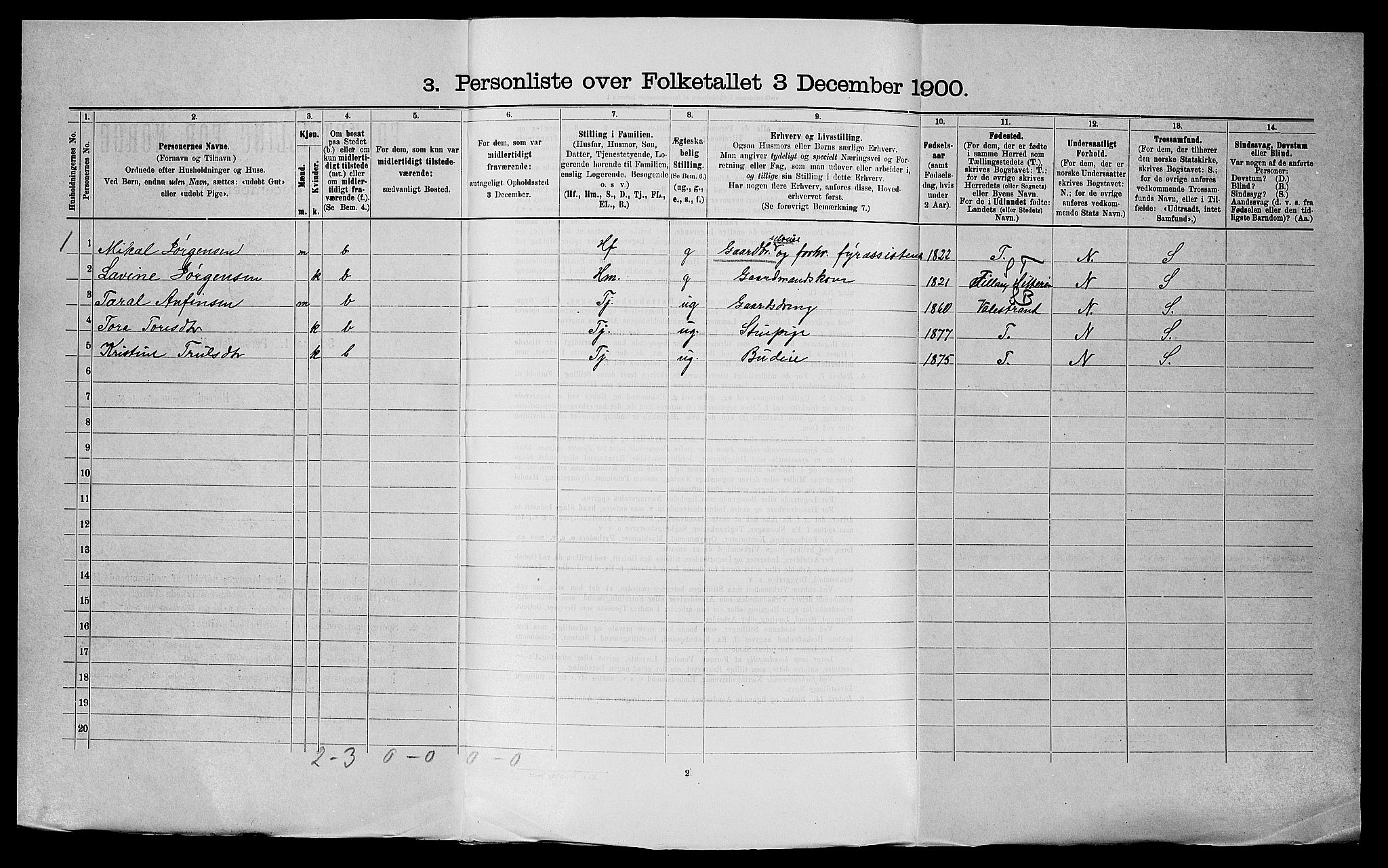 SAST, Folketelling 1900 for 1152 Torvastad herred, 1900, s. 699