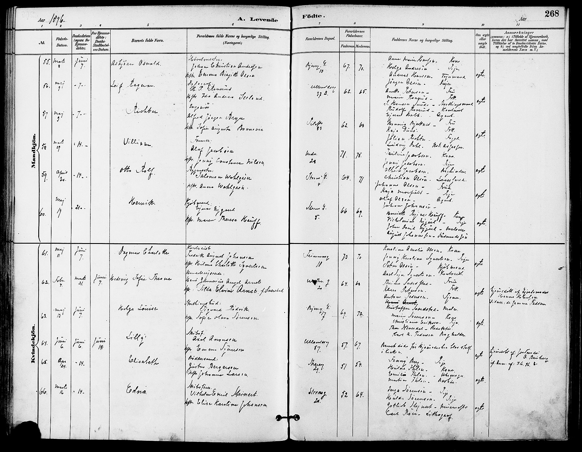 Gamle Aker prestekontor Kirkebøker, AV/SAO-A-10617a/F/L0008: Ministerialbok nr. 8, 1887-1896, s. 268