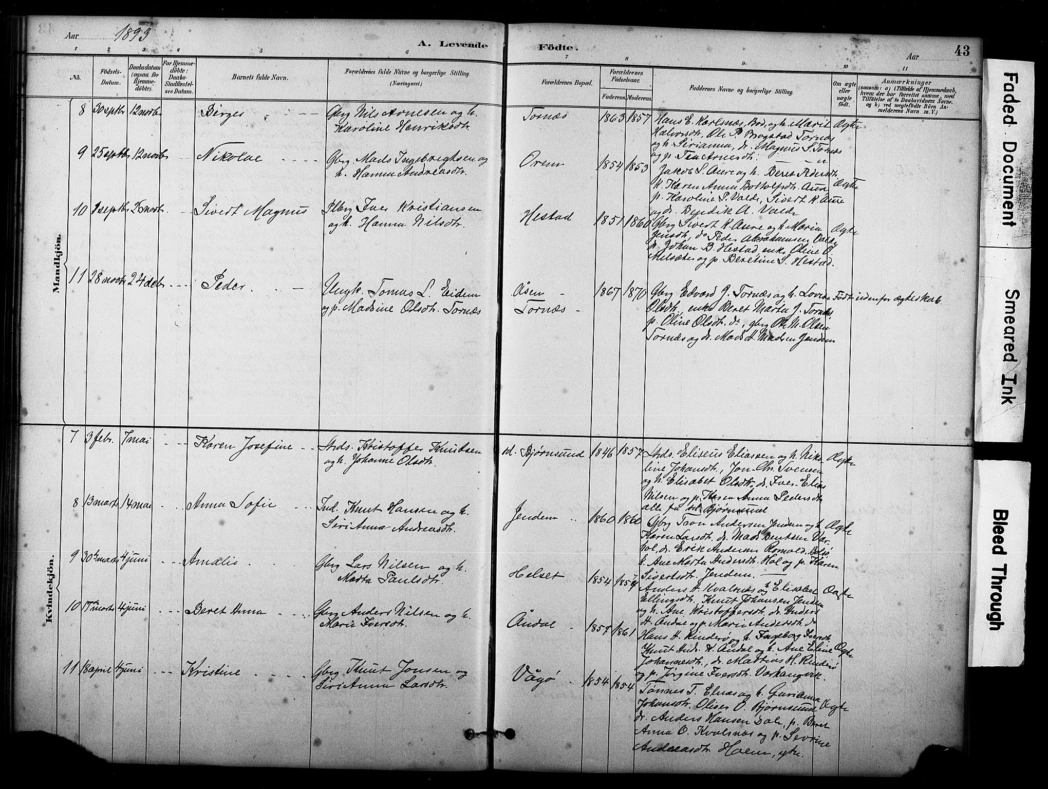 Ministerialprotokoller, klokkerbøker og fødselsregistre - Møre og Romsdal, AV/SAT-A-1454/565/L0755: Klokkerbok nr. 565C04, 1883-1903, s. 43