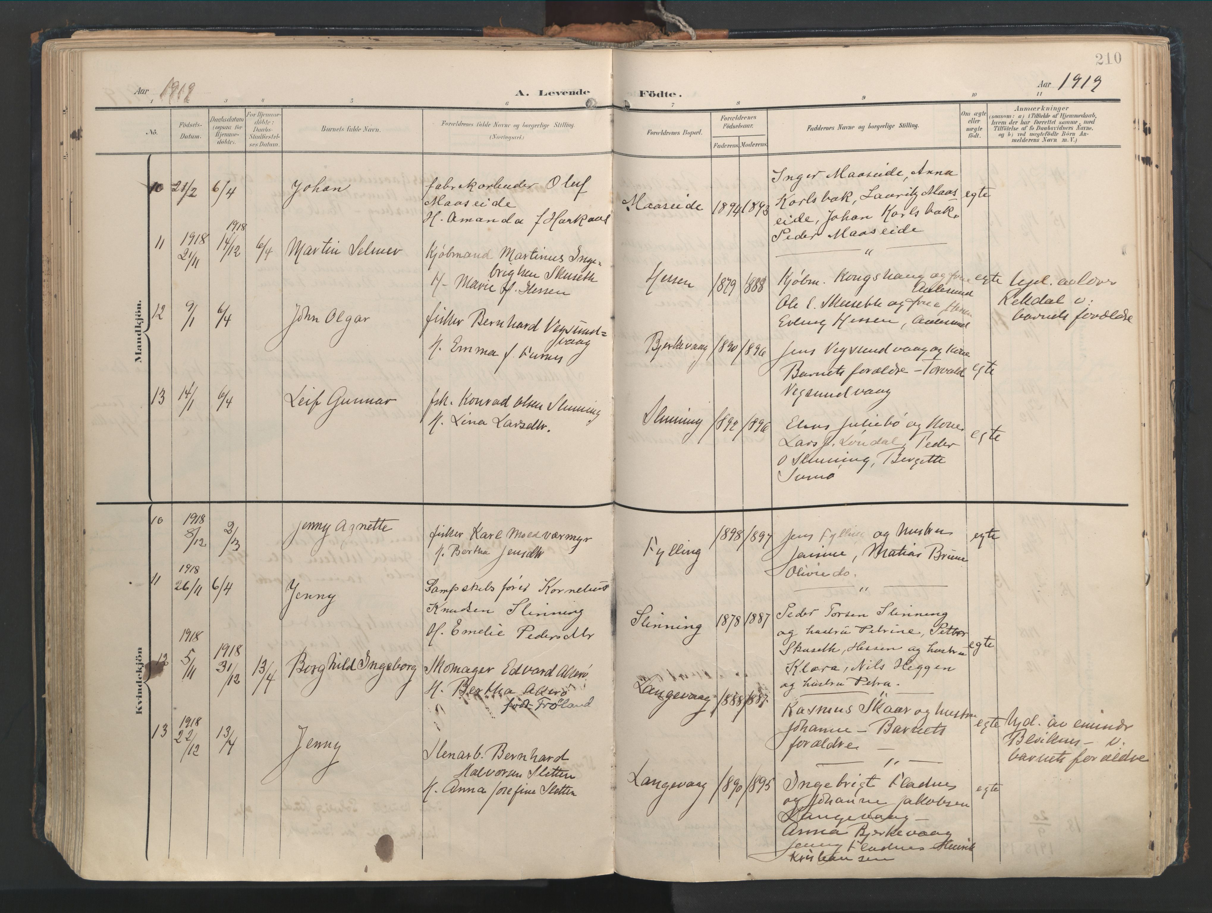 Ministerialprotokoller, klokkerbøker og fødselsregistre - Møre og Romsdal, AV/SAT-A-1454/528/L0411: Ministerialbok nr. 528A20, 1907-1920, s. 210