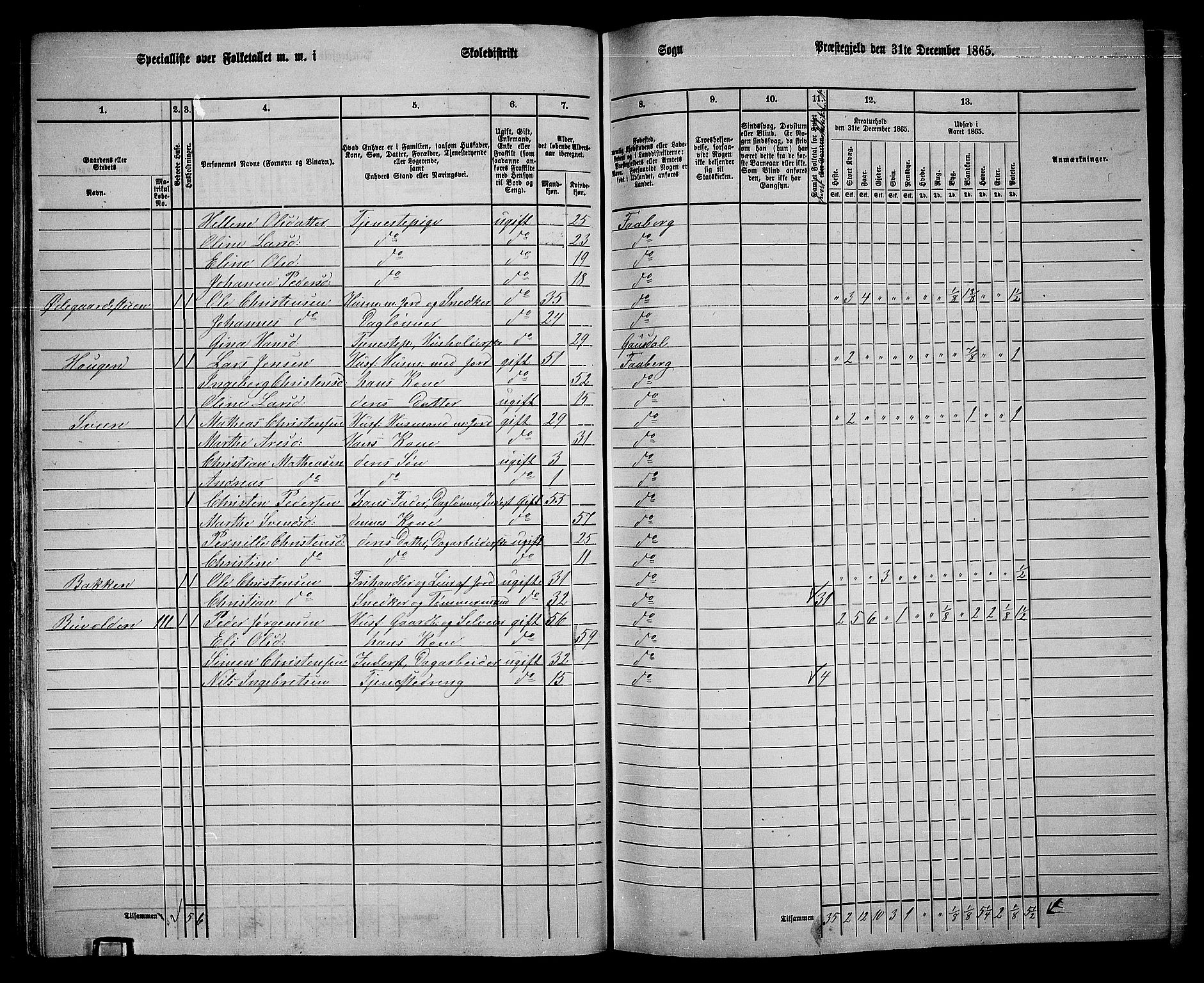 RA, Folketelling 1865 for 0524L Fåberg prestegjeld, Fåberg sokn og Lillehammer landsokn, 1865, s. 47