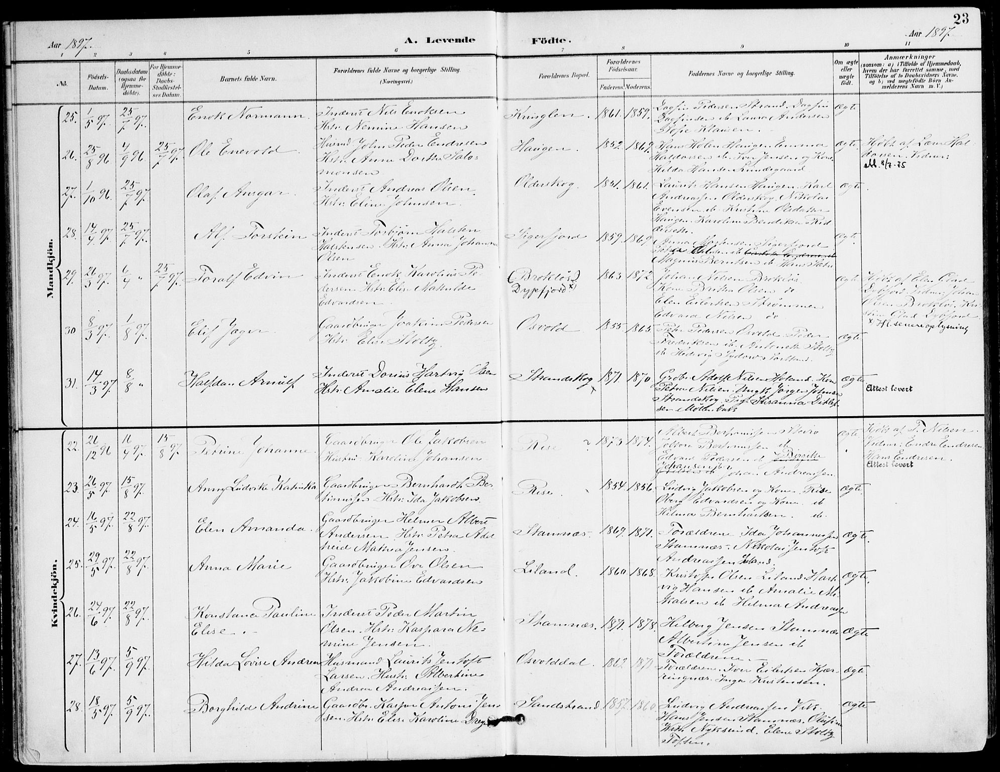 Ministerialprotokoller, klokkerbøker og fødselsregistre - Nordland, AV/SAT-A-1459/895/L1372: Ministerialbok nr. 895A07, 1894-1914, s. 23