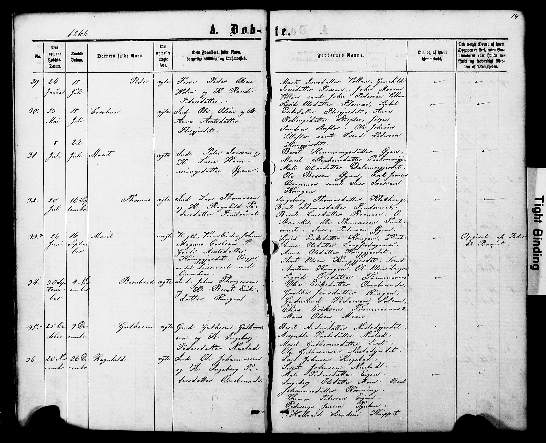 Ministerialprotokoller, klokkerbøker og fødselsregistre - Nord-Trøndelag, AV/SAT-A-1458/706/L0049: Klokkerbok nr. 706C01, 1864-1895, s. 14