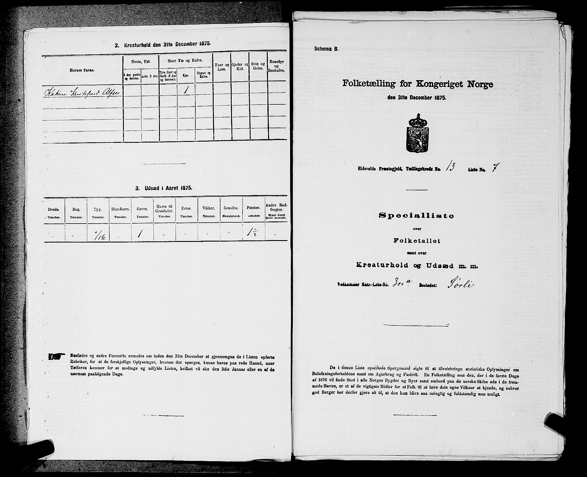 RA, Folketelling 1875 for 0237P Eidsvoll prestegjeld, 1875, s. 2067