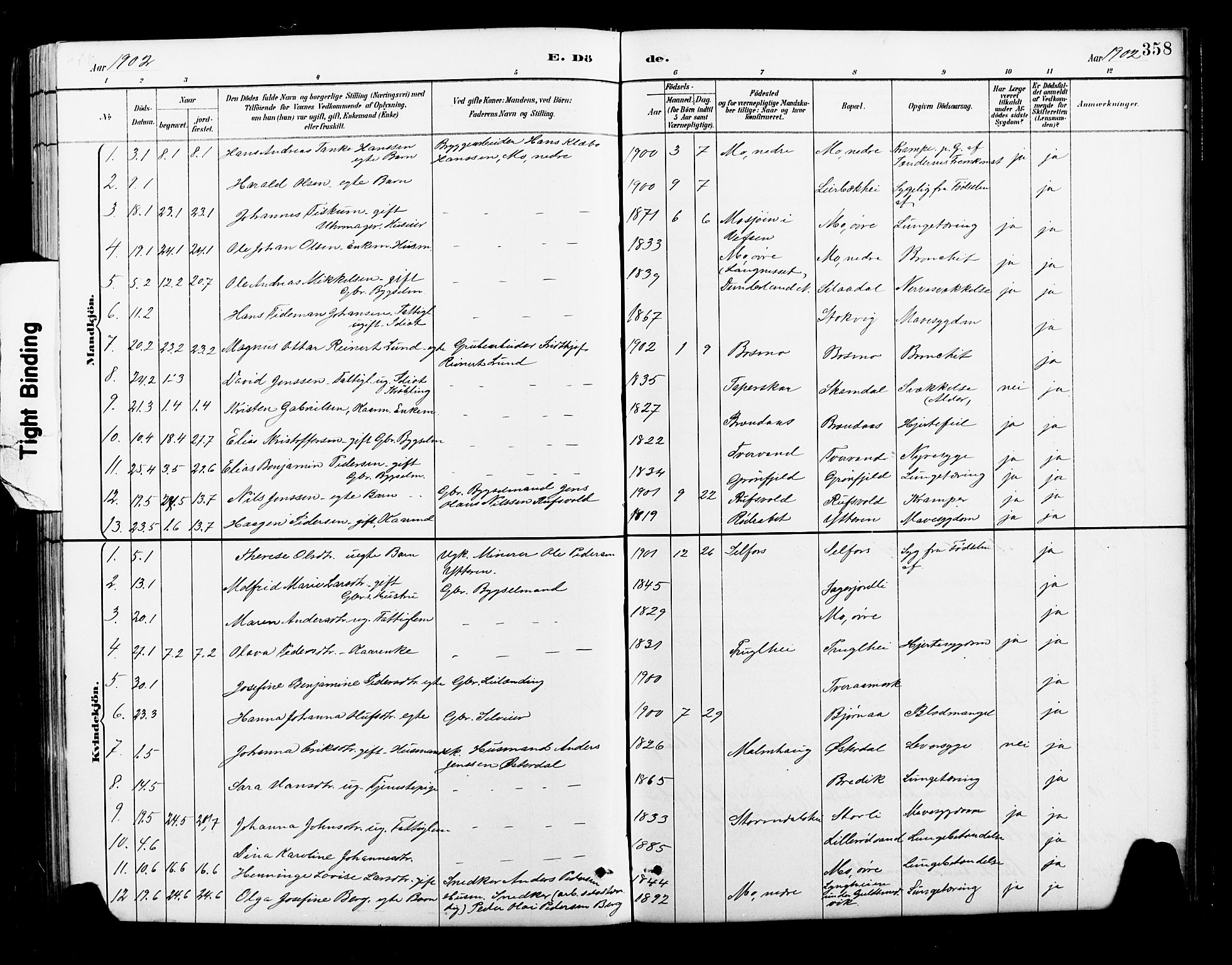 Ministerialprotokoller, klokkerbøker og fødselsregistre - Nordland, SAT/A-1459/827/L0421: Klokkerbok nr. 827C10, 1887-1906, s. 358