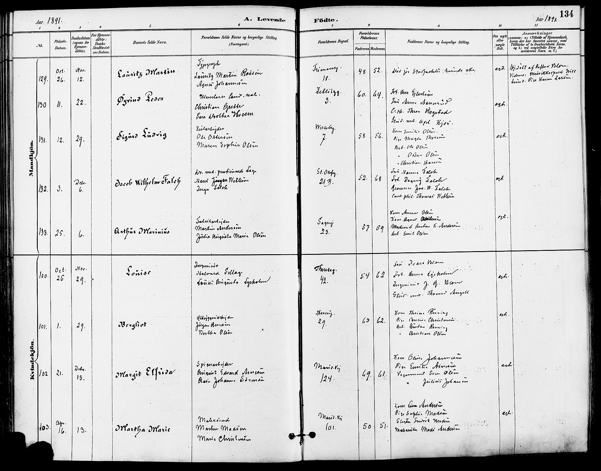 Gamle Aker prestekontor Kirkebøker, AV/SAO-A-10617a/F/L0008: Ministerialbok nr. 8, 1887-1896, s. 134