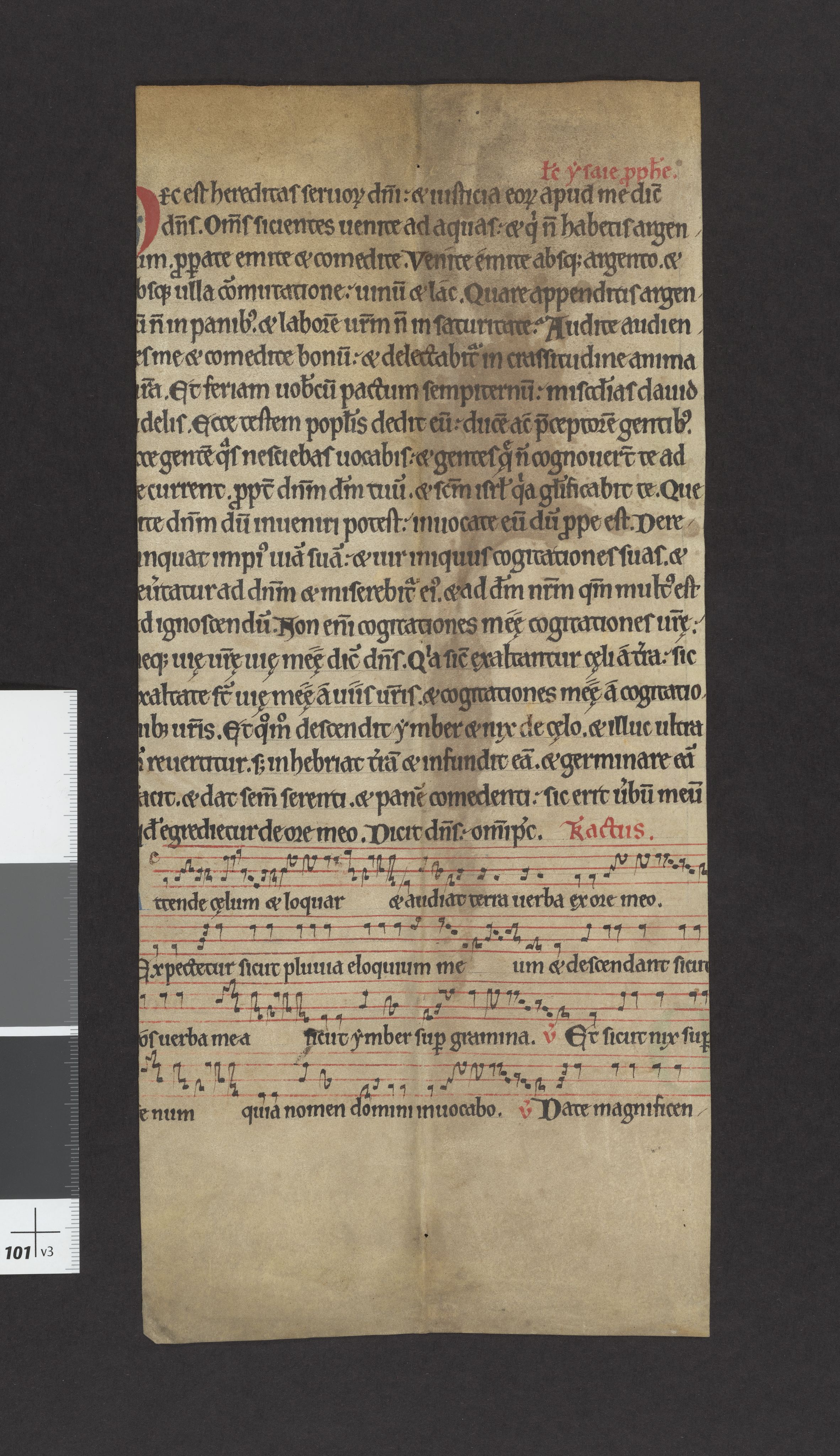 Riksarkivets diplomsamling, AV/RA-EA-5965/F27/F27A/F27Ab/L0001: Latinske fragmenter stort format, 1100-1536, s. 33