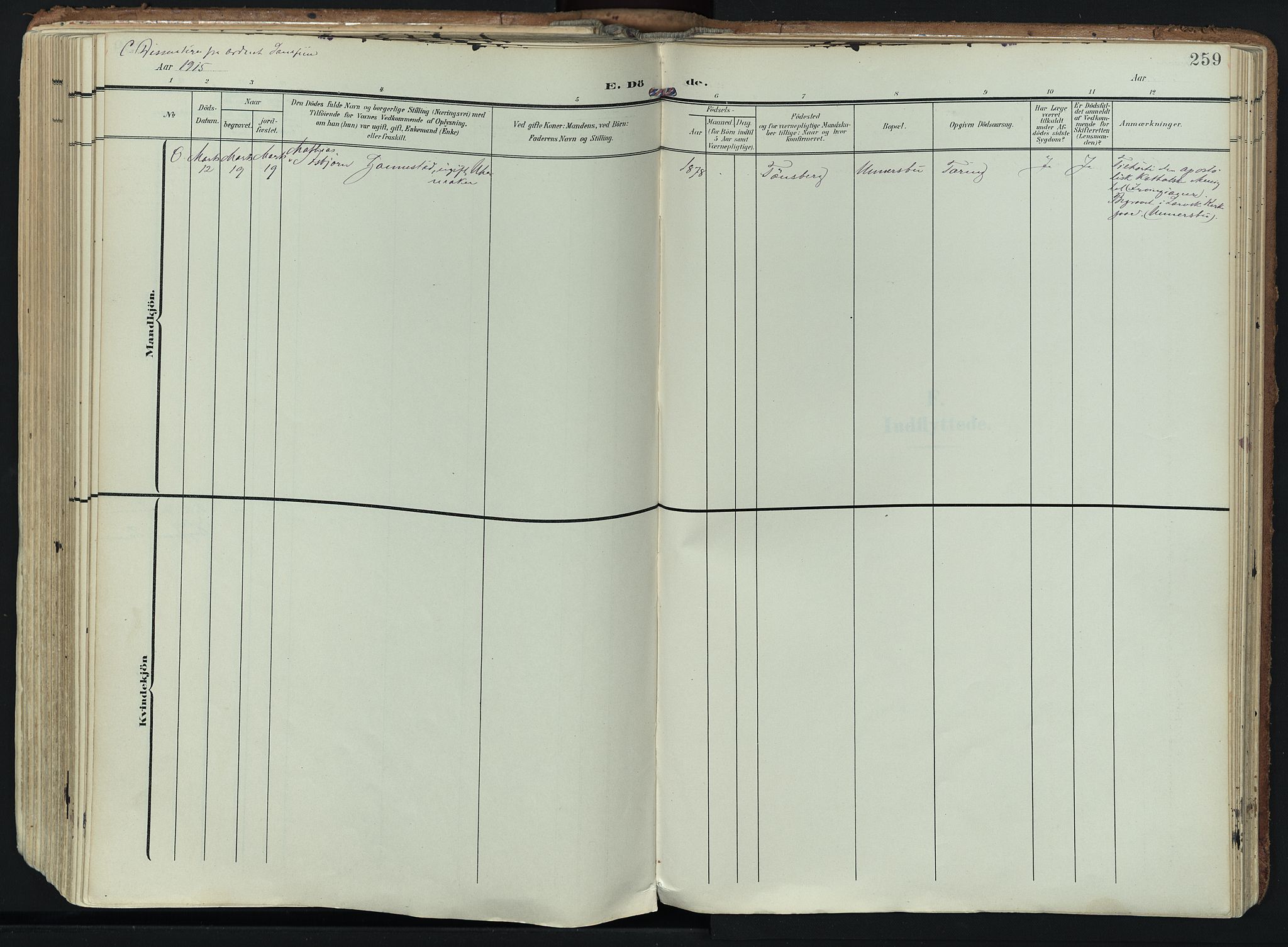 Hedrum kirkebøker, SAKO/A-344/F/Fa/L0010: Ministerialbok nr. I 10, 1904-1918, s. 259