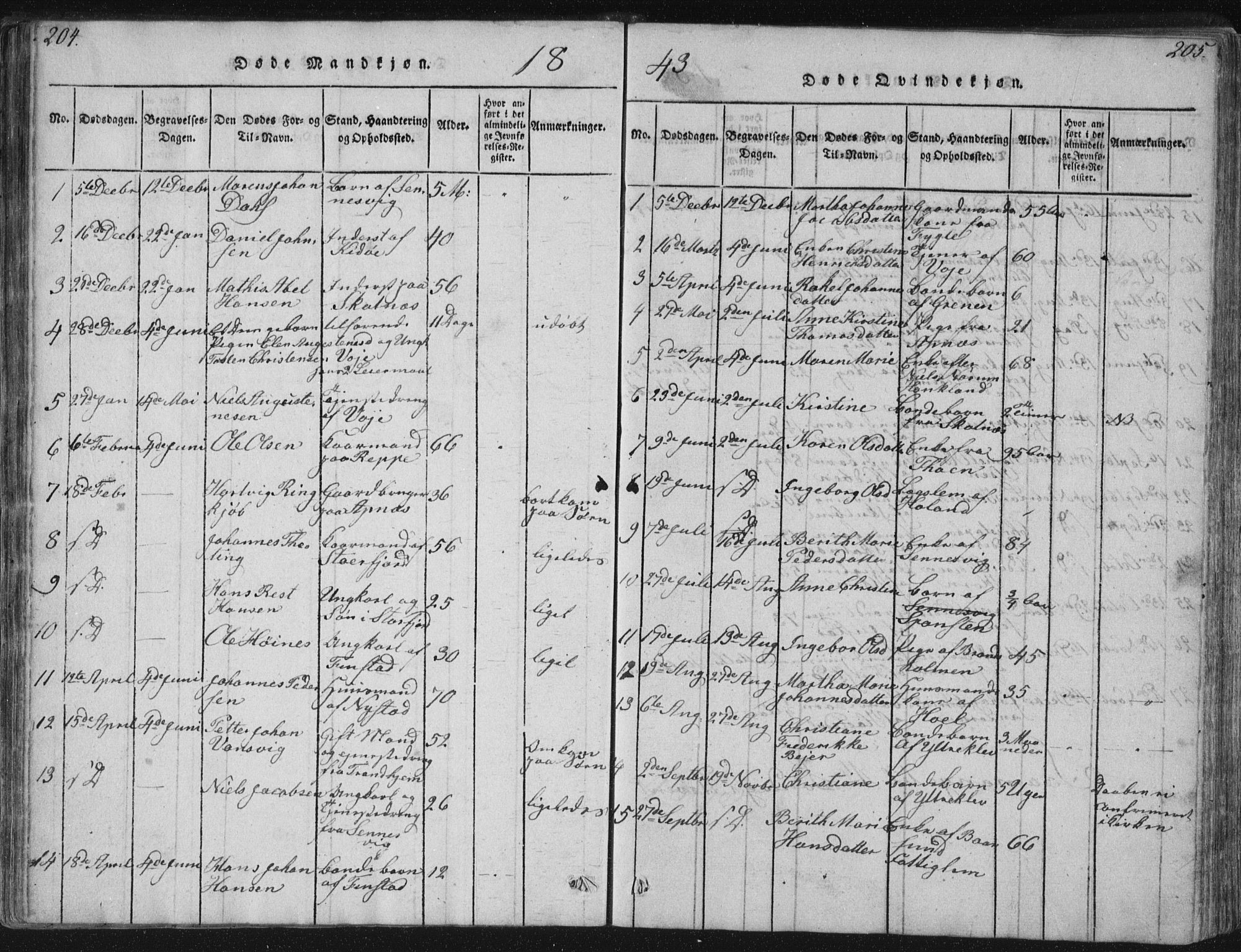 Ministerialprotokoller, klokkerbøker og fødselsregistre - Nordland, AV/SAT-A-1459/881/L1164: Klokkerbok nr. 881C01, 1818-1853, s. 204-205