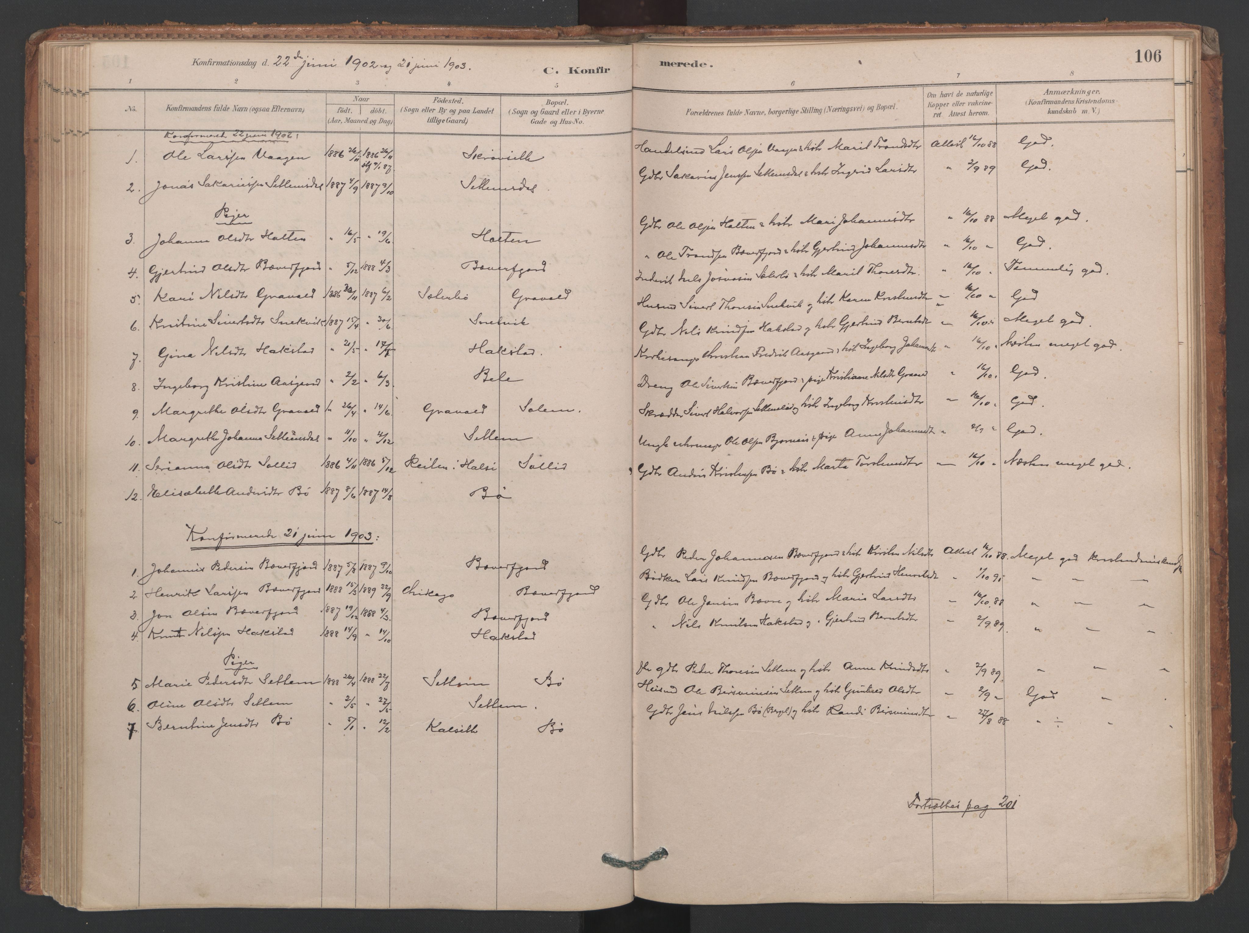 Ministerialprotokoller, klokkerbøker og fødselsregistre - Møre og Romsdal, SAT/A-1454/594/L1036: Ministerialbok nr. 594A02 (?), 1879-1910, s. 106