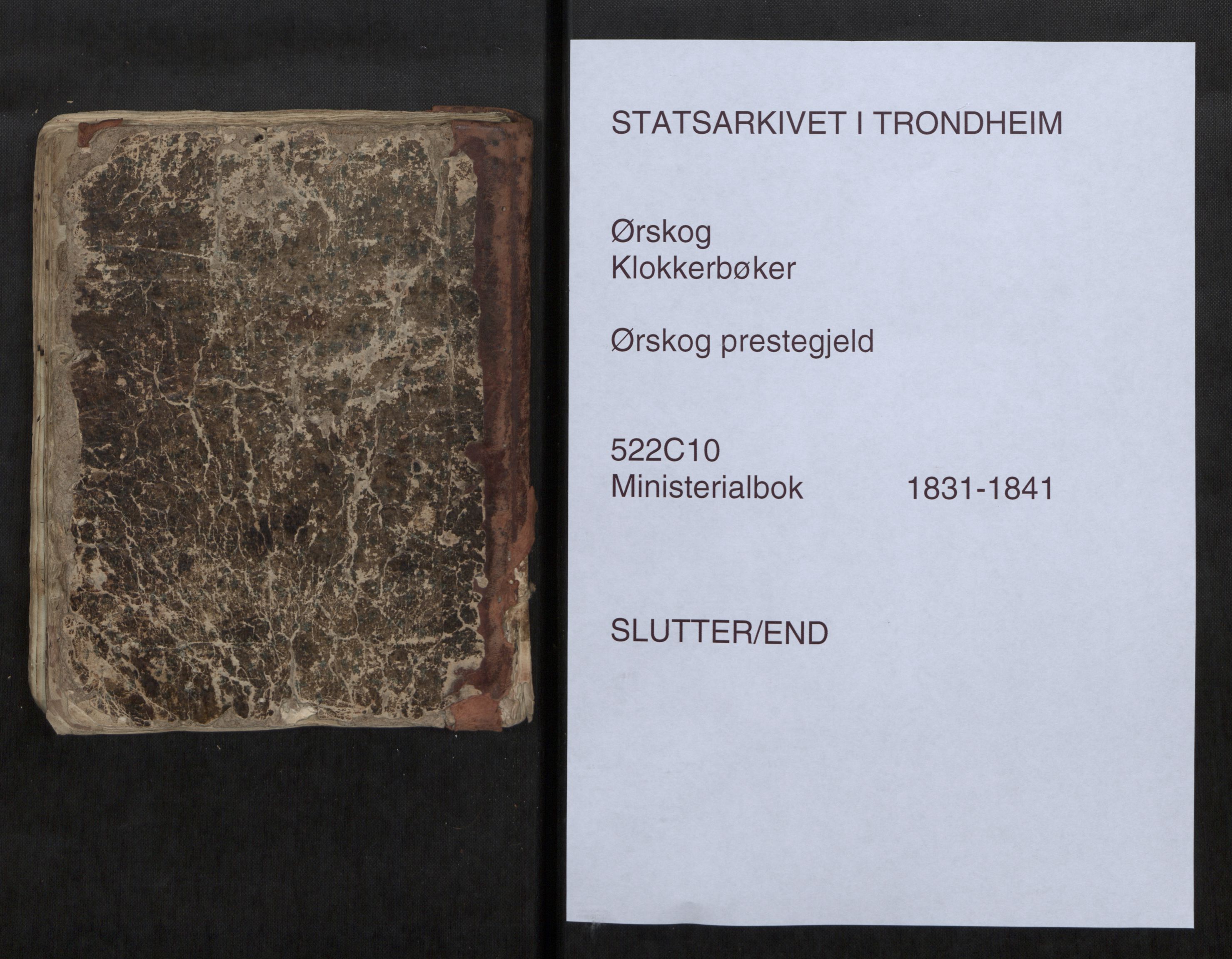 Ministerialprotokoller, klokkerbøker og fødselsregistre - Møre og Romsdal, AV/SAT-A-1454/522/L0331: Klokkerbok nr. 522C10, 1831-1841